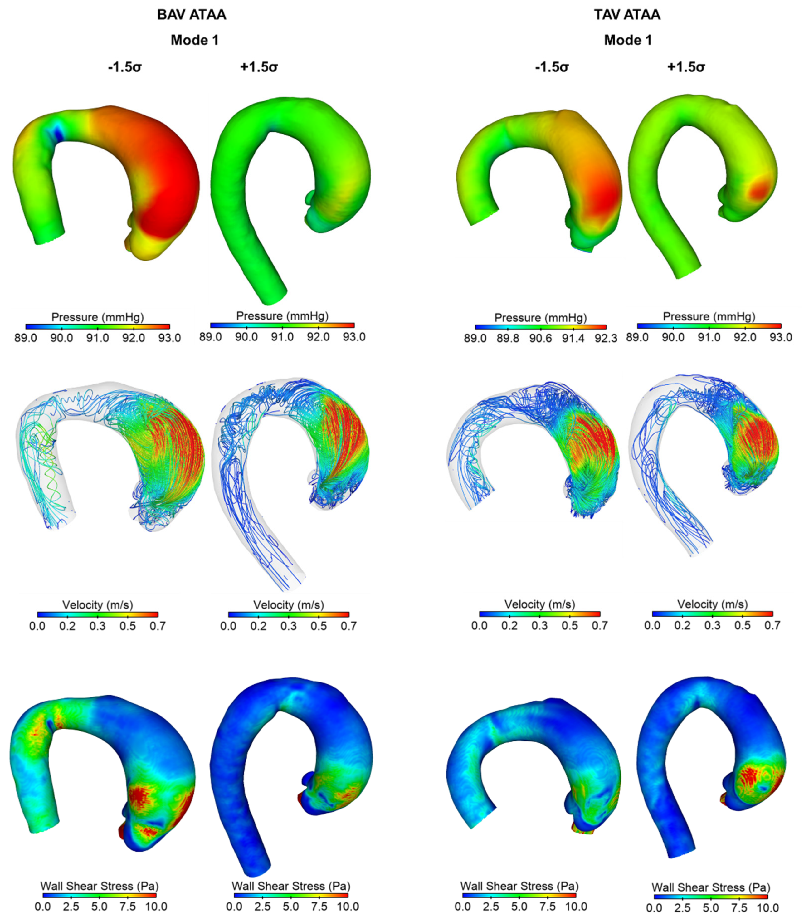Applsci 12 00394 g006