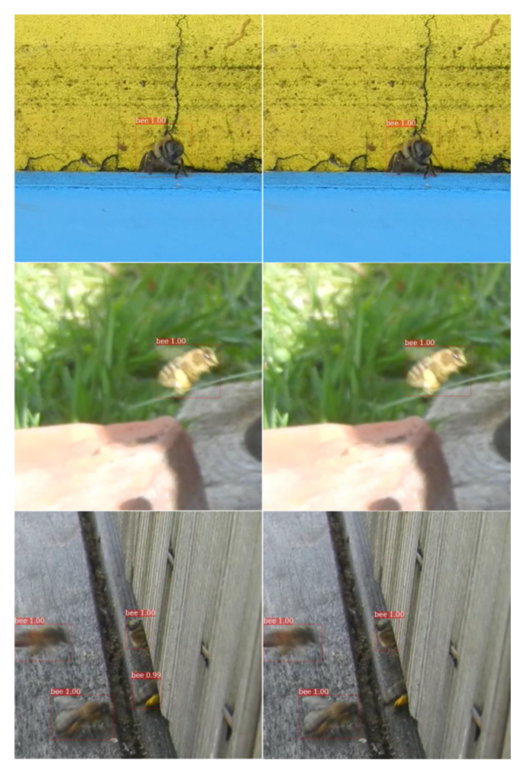 Applsci 12 00409 g016