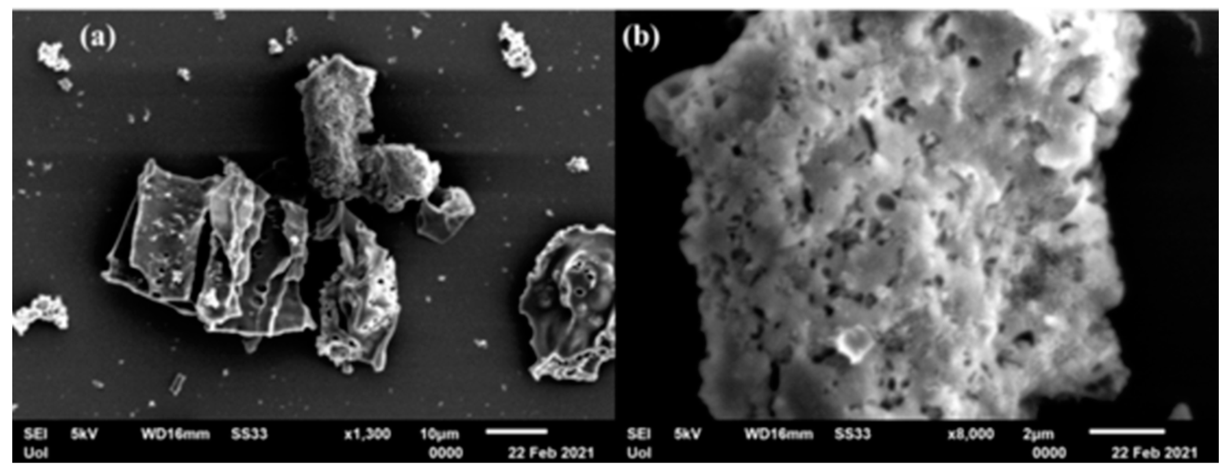 Applsci 12 00410 g007