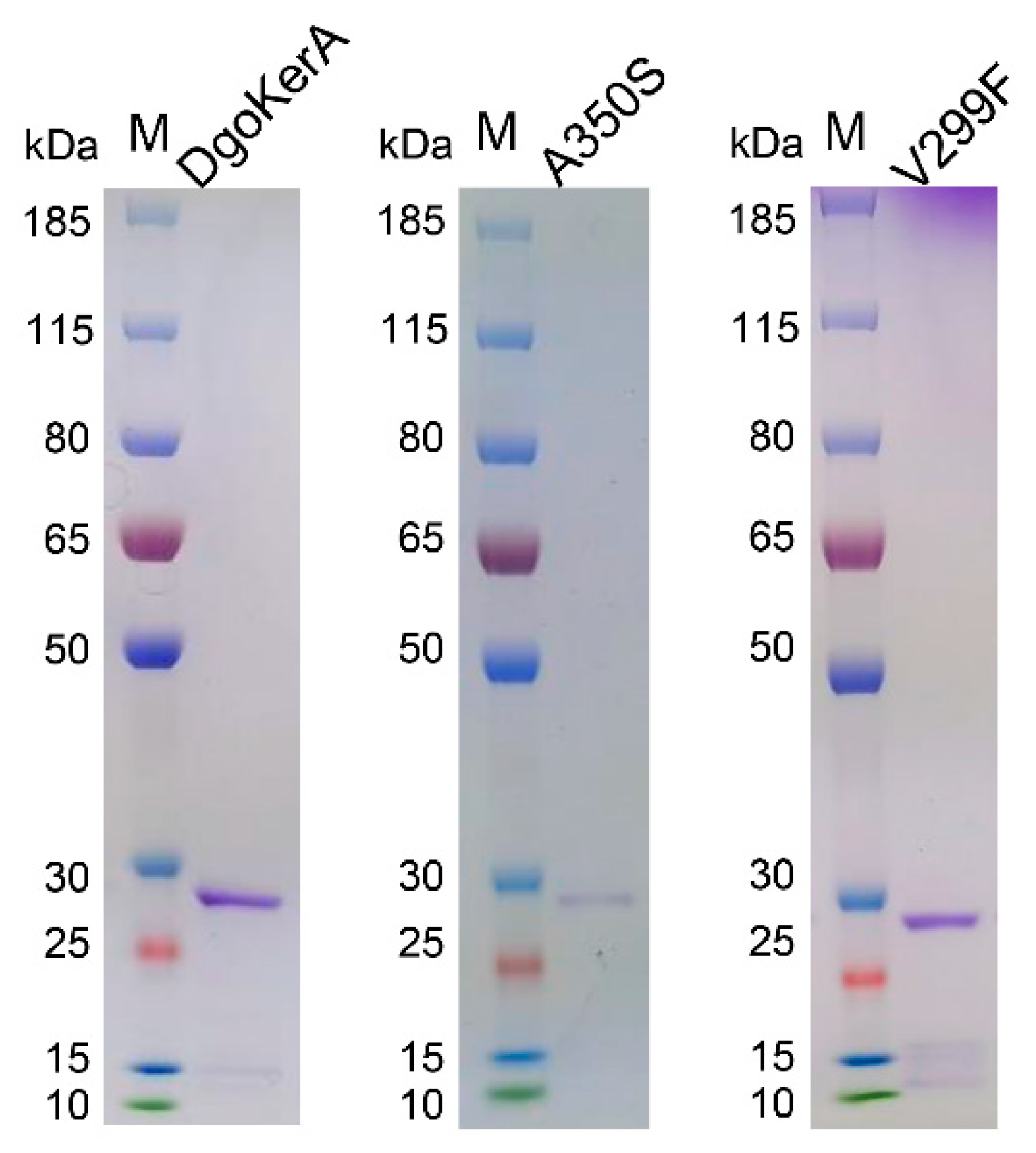 Applsci 12 00464 g003