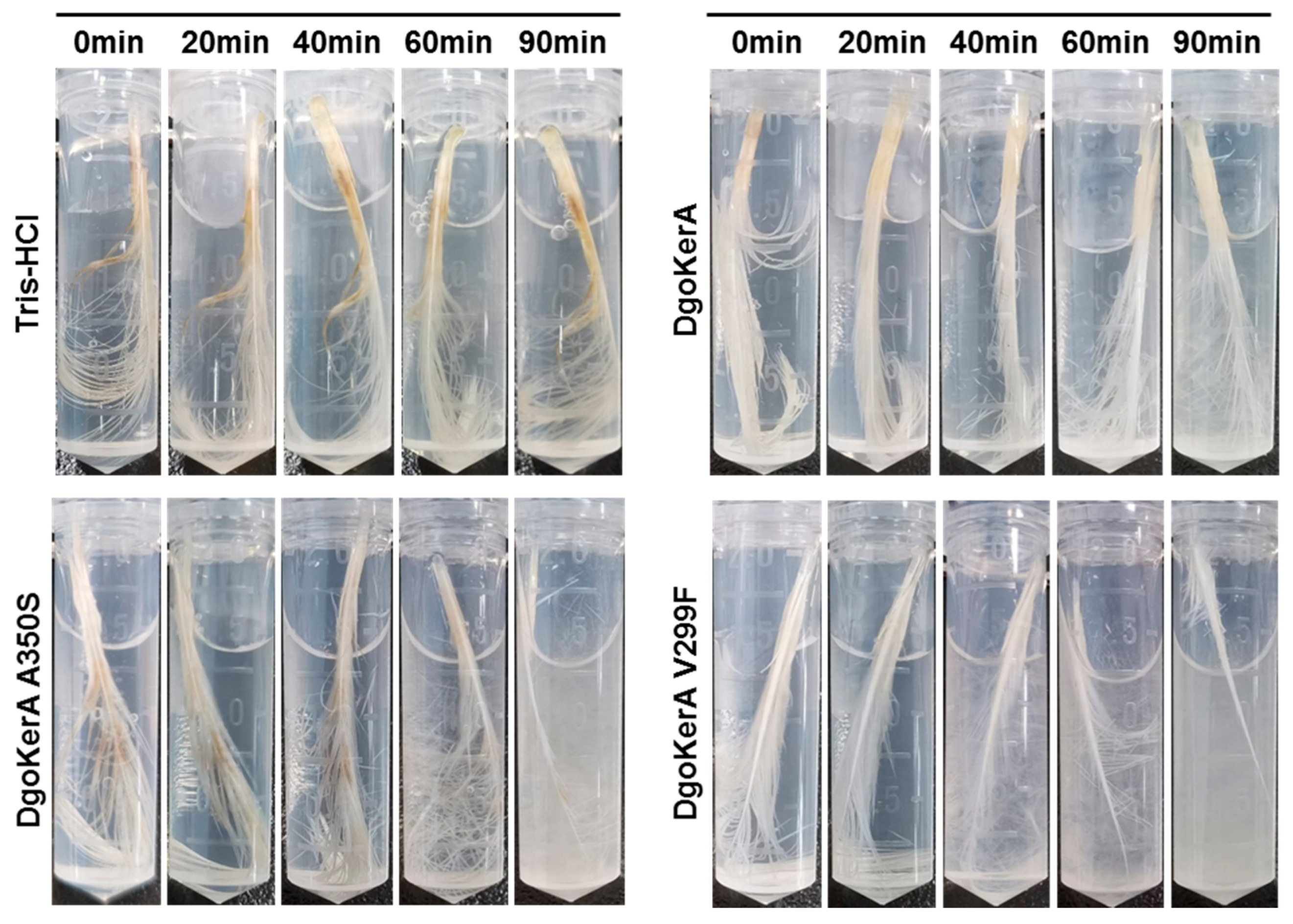 Applsci 12 00464 g006