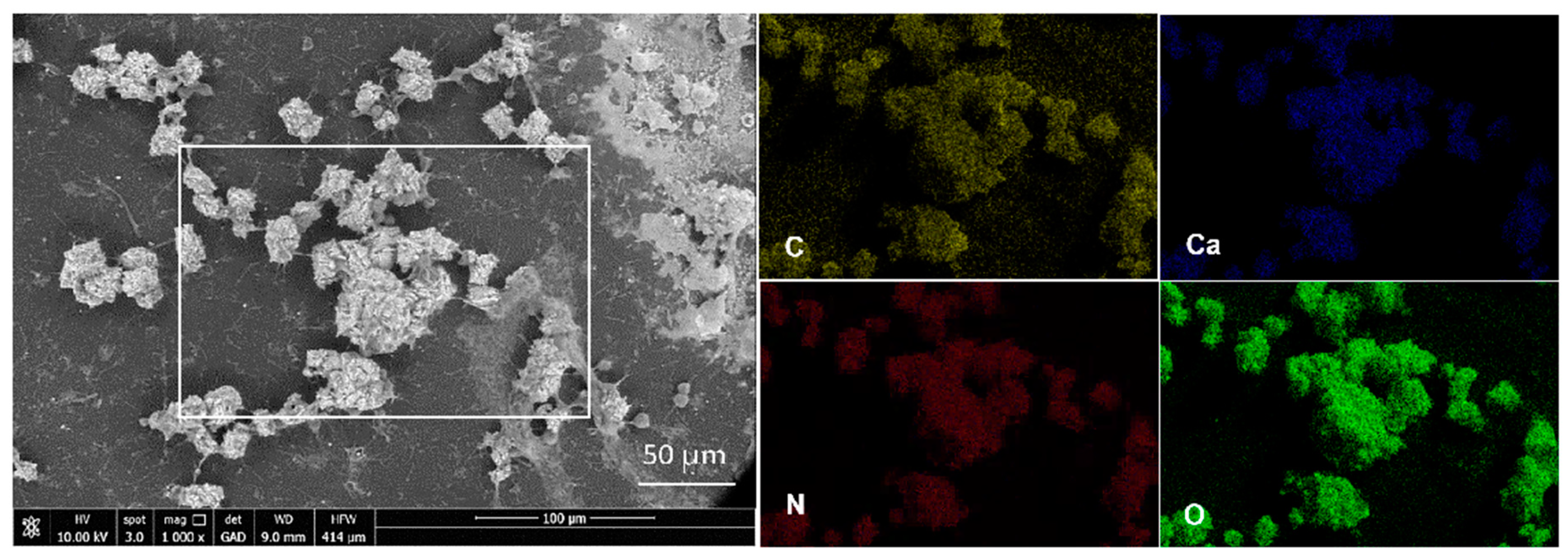 Applsci 12 00466 g006