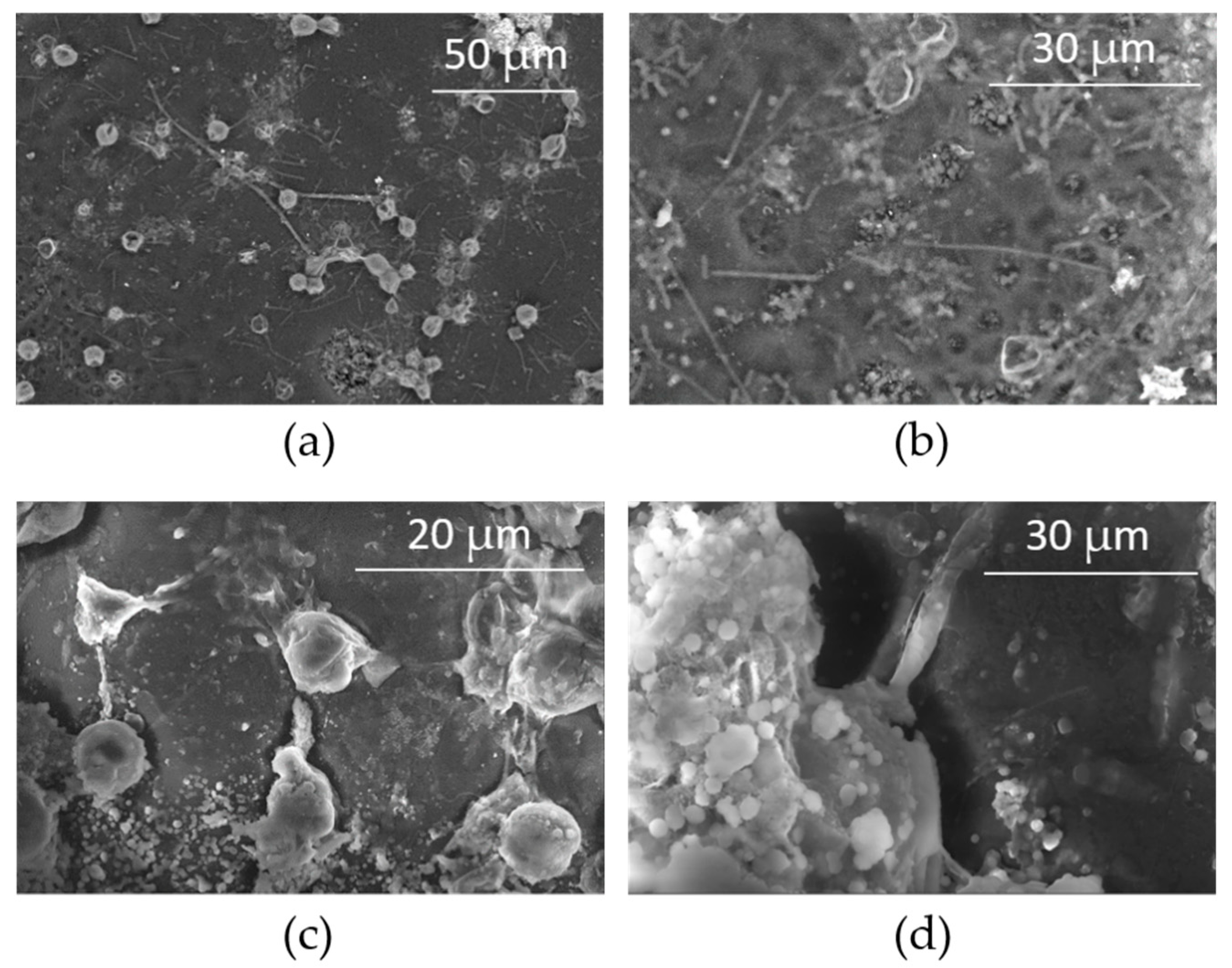 Applsci 12 00466 g007