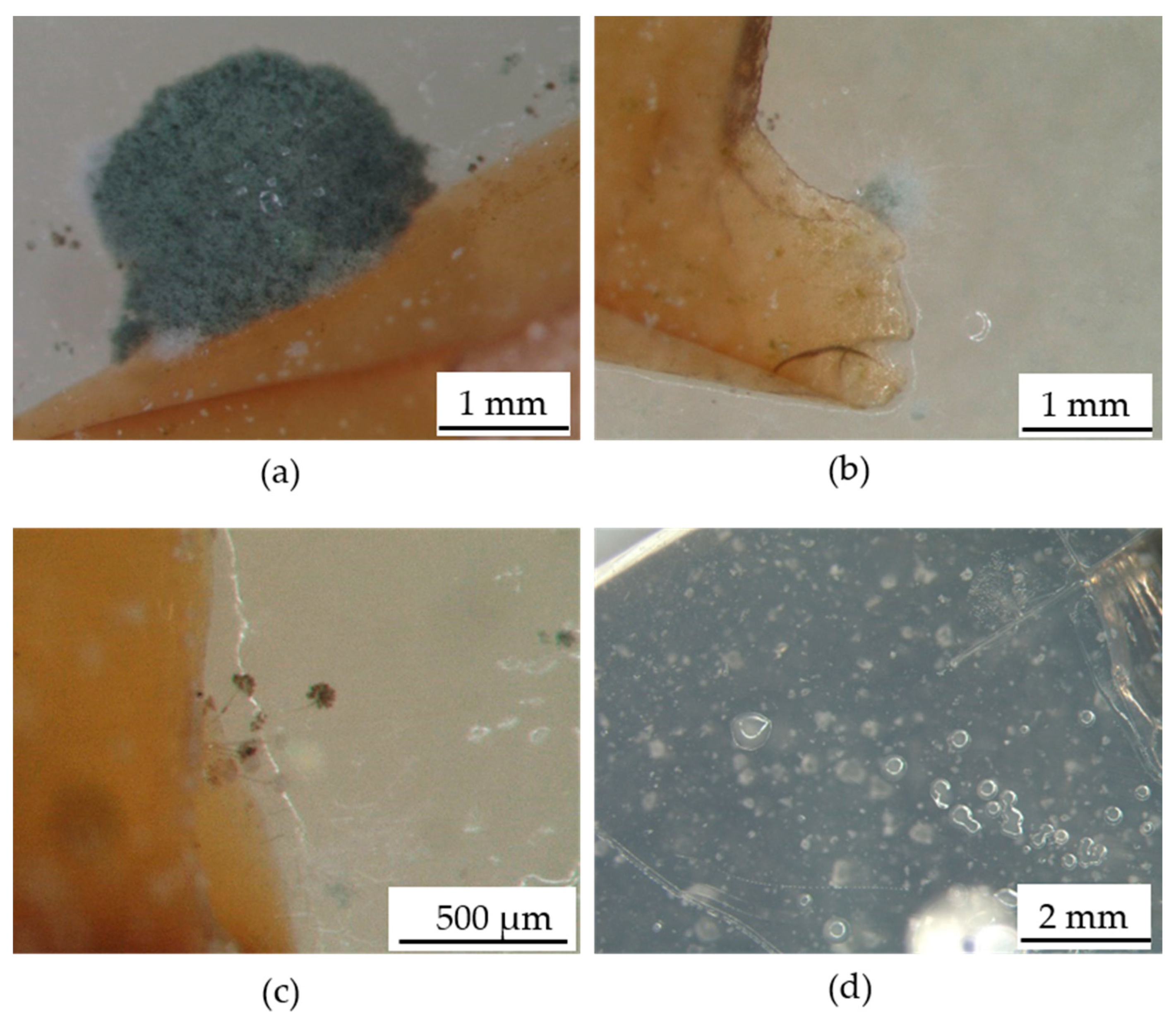 Applsci 12 00466 g008