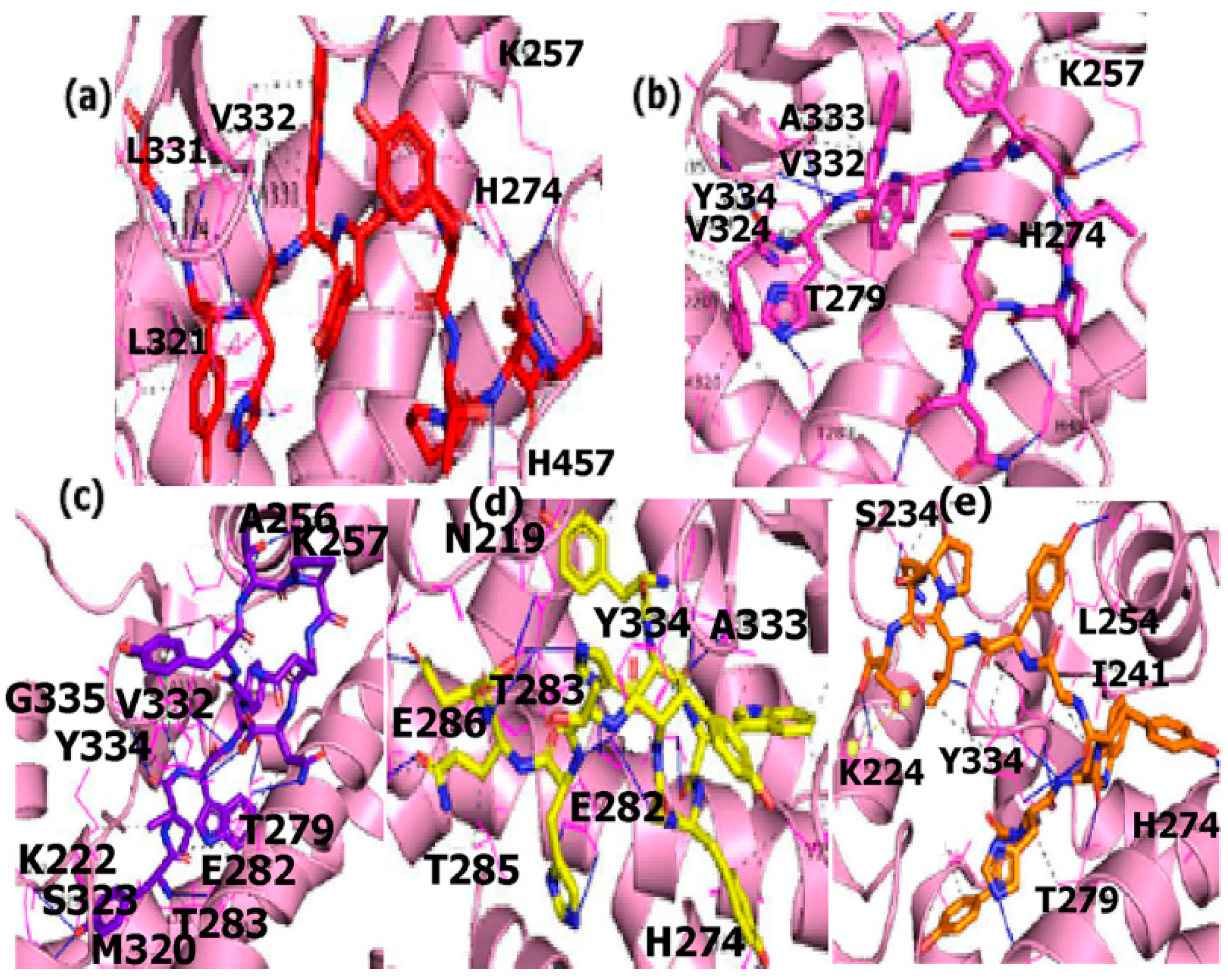 Applsci 12 00515 g004 Applsci 12 00515 g004