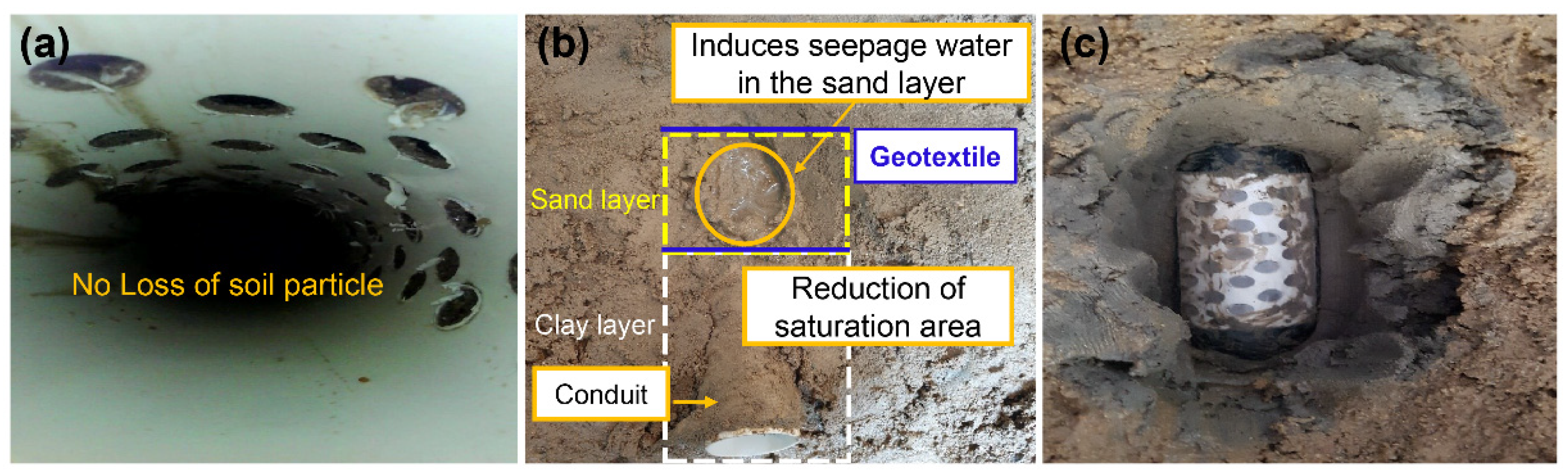 Applsci 12 00567 g006
