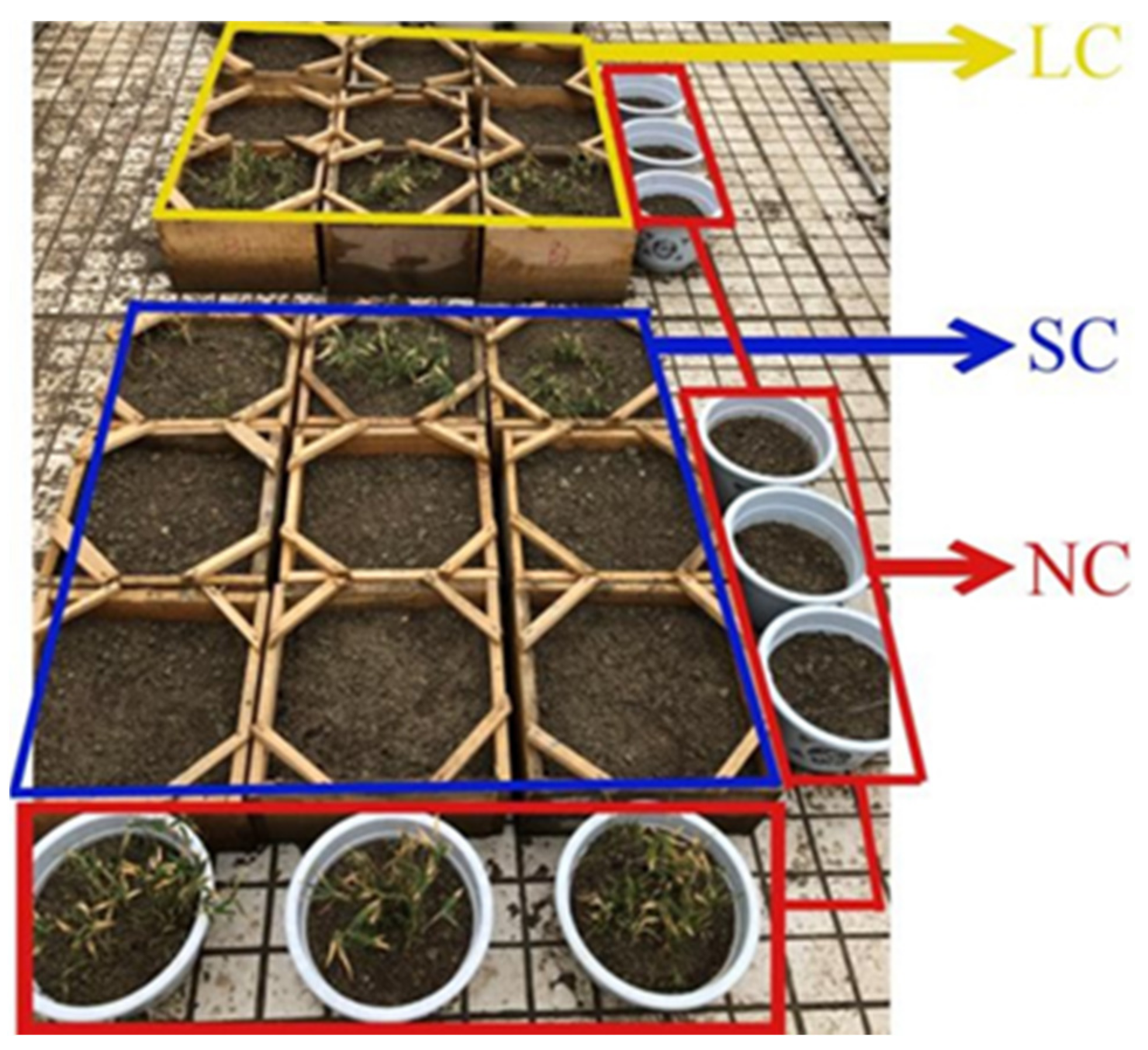 Applsci 12 00645 g005