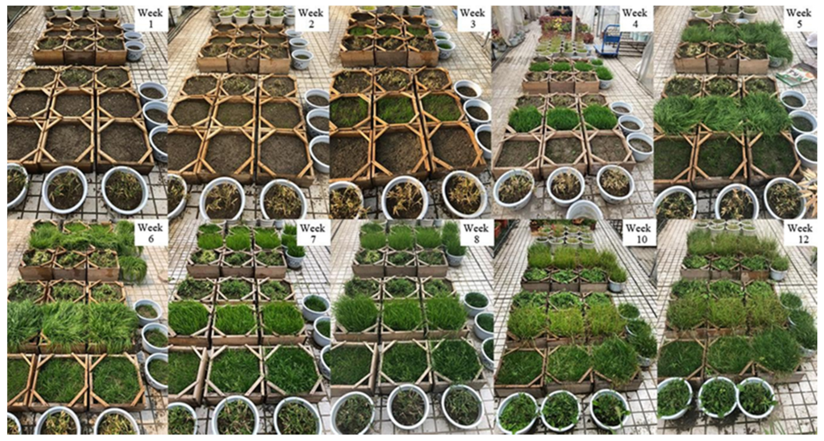 Applsci 12 00645 g006