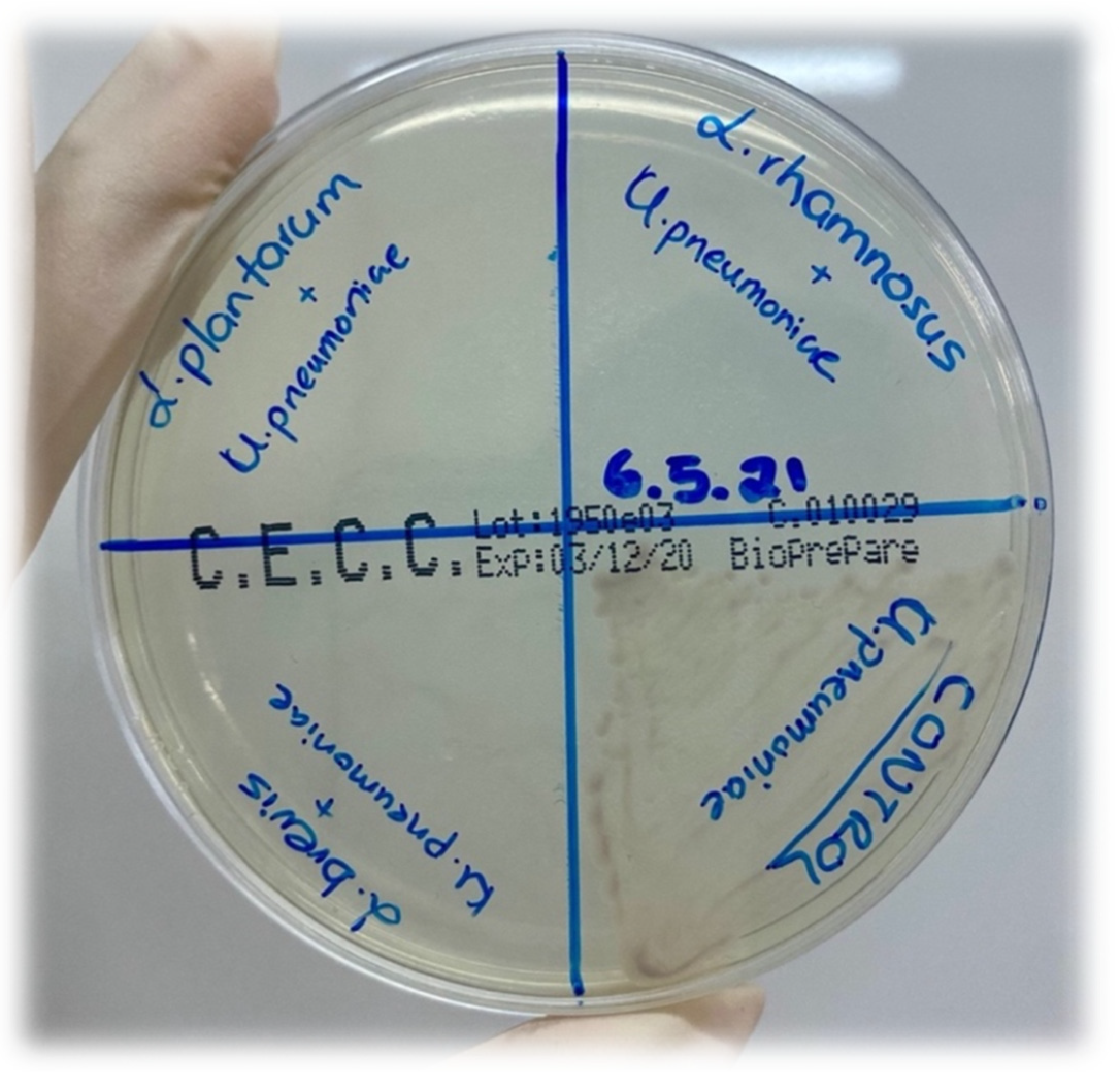 Applsci 12 00660 g007 Applsci 12 00660 g007