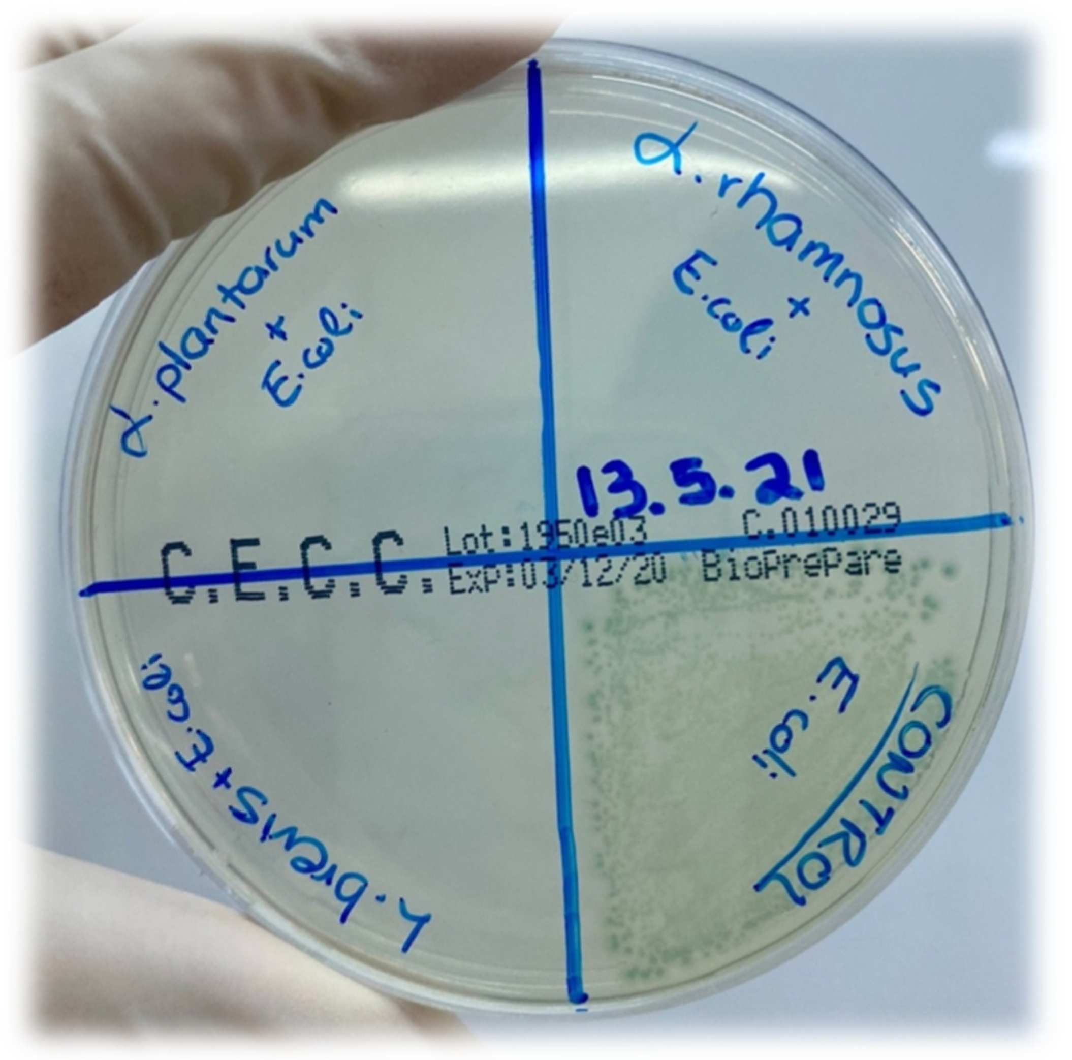 Applsci 12 00660 g008 Applsci 12 00660 g008