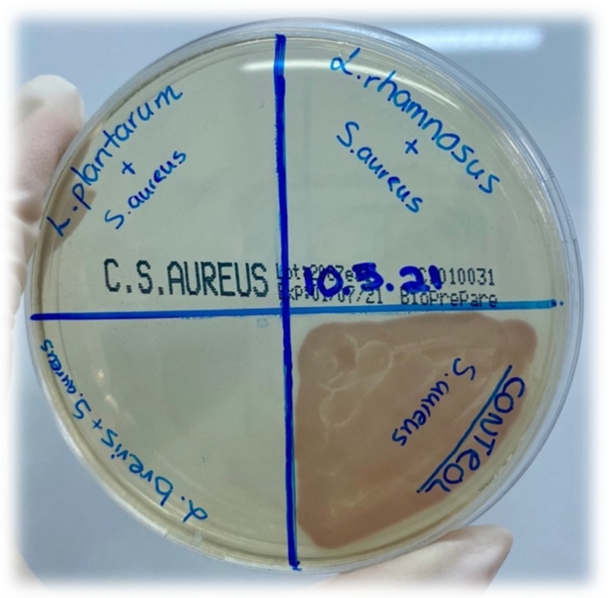 Applsci 12 00660 g009 Applsci 12 00660 g009