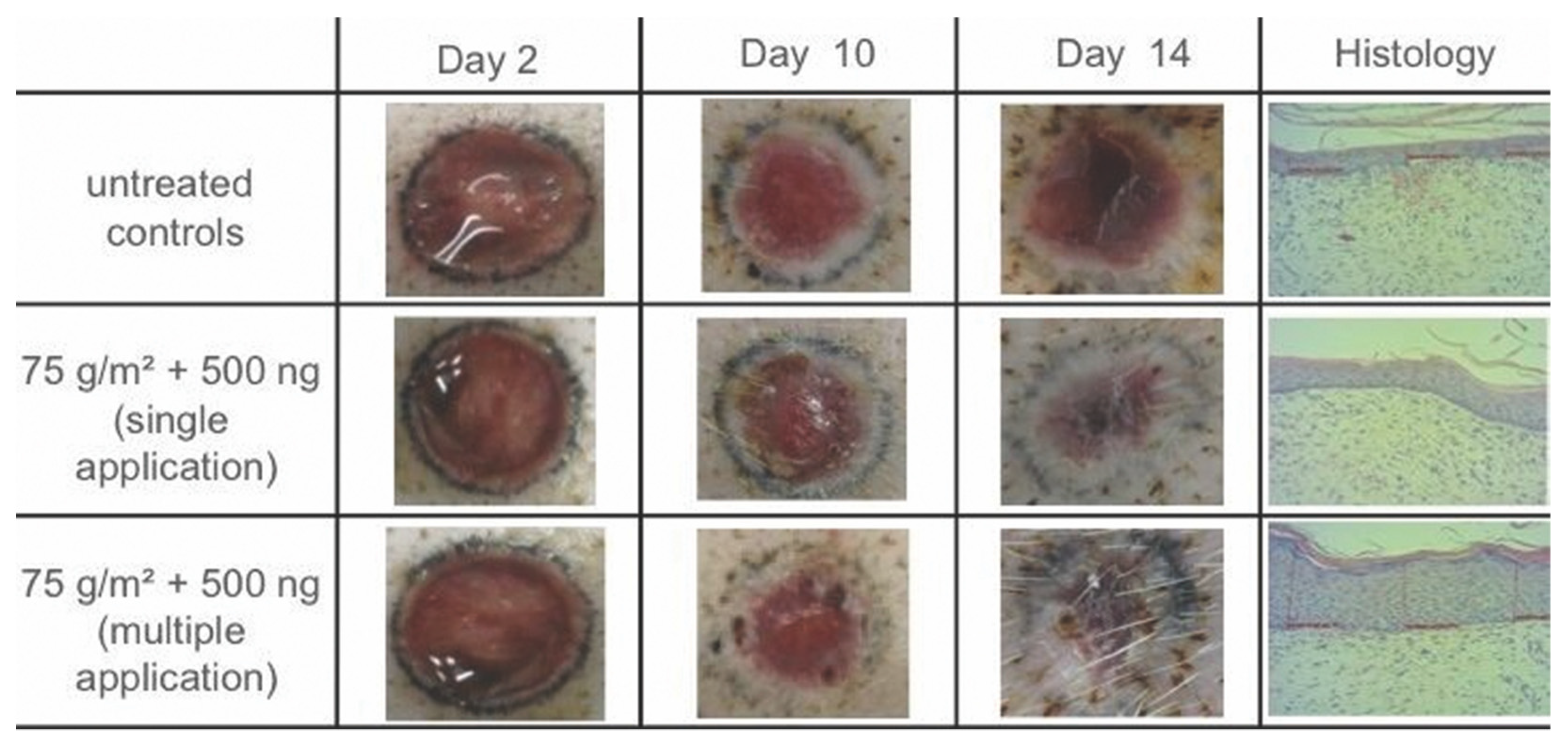 Applsci 12 00867 g002