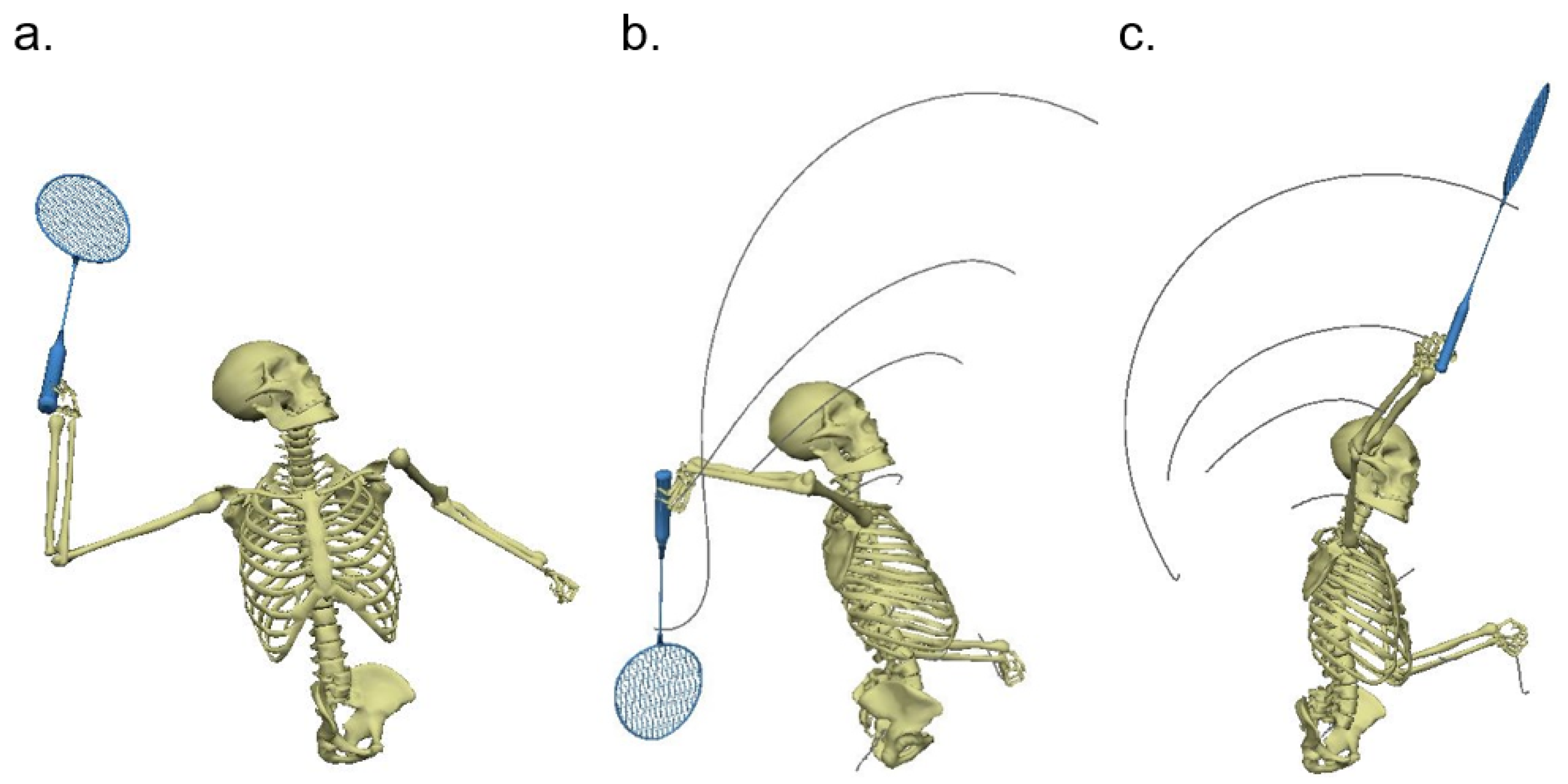 Applied Sciences | Free Full-Text | Relationships between Racket Arm Joint  Moments and Racket Head Speed during the Badminton Jump Smash Performed by  Elite Male Malaysian Players | HTML