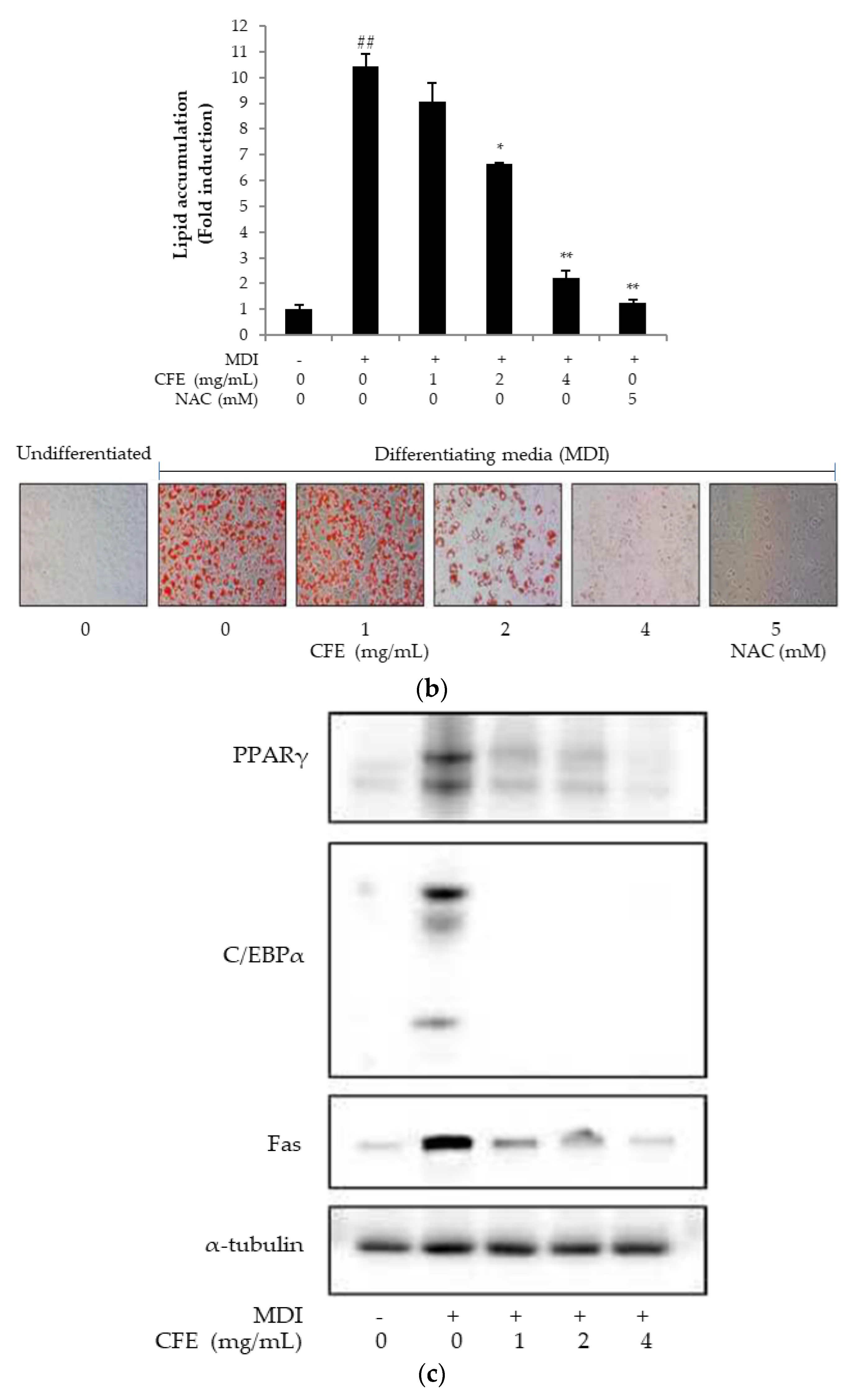 Applsci 12 00959 g003b