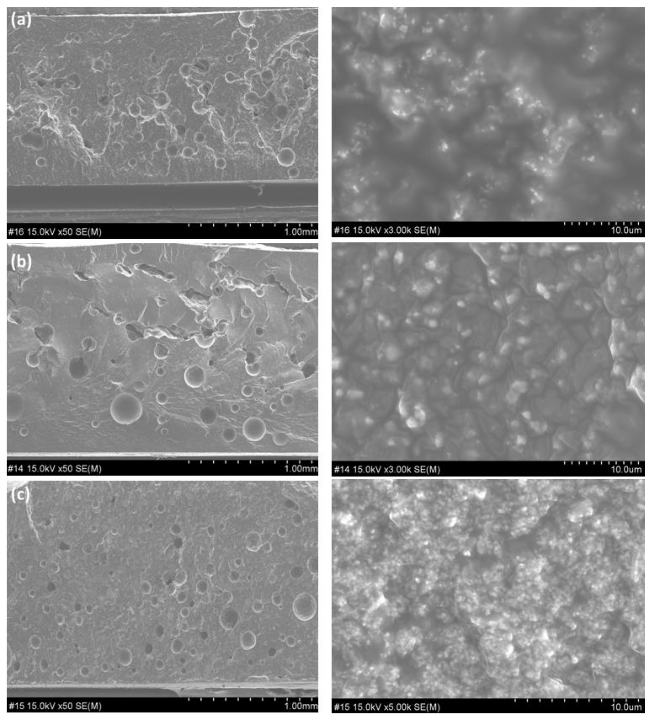 Applsci 12 00968 g006