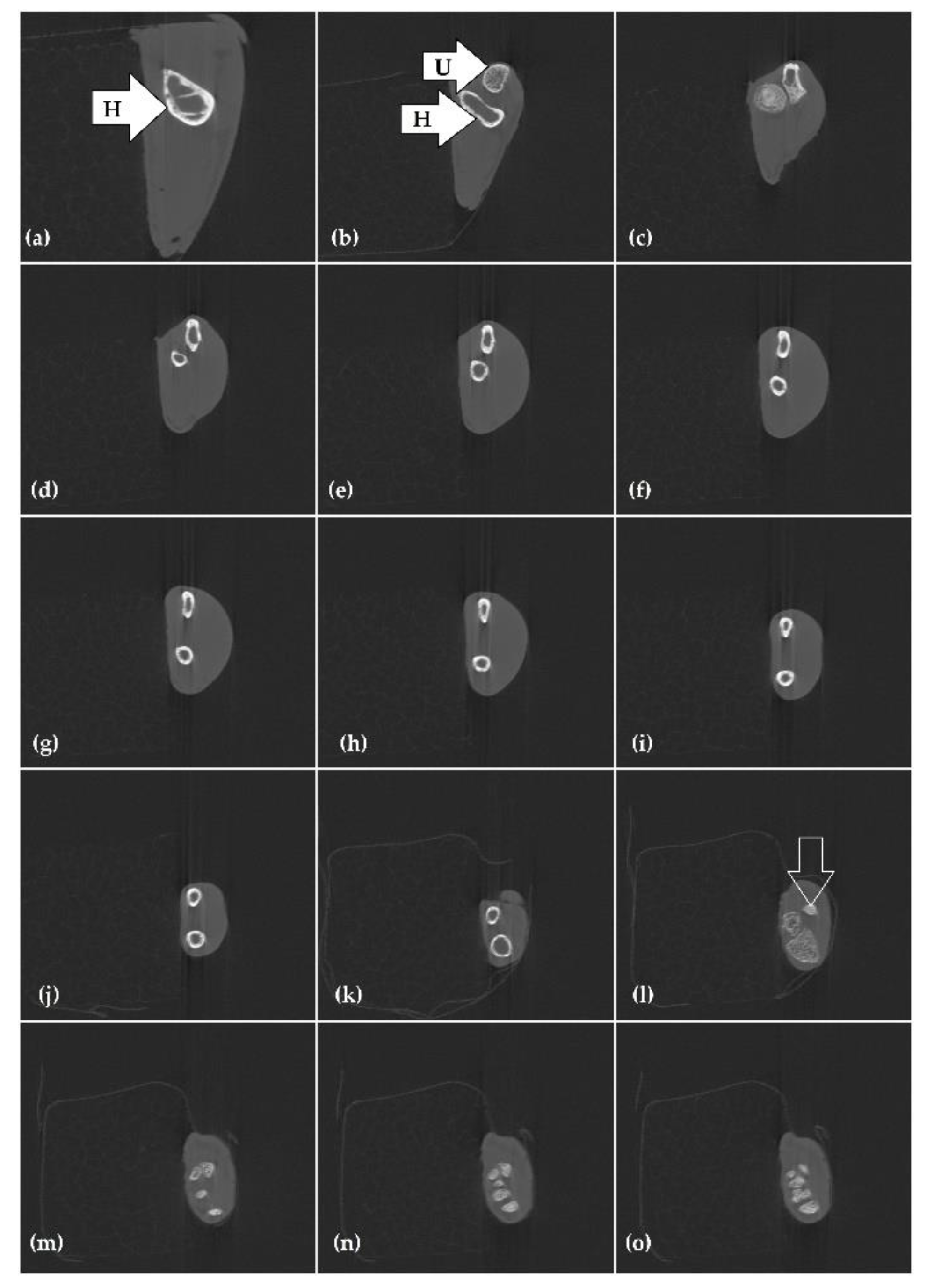 Applsci 12 01031 g002