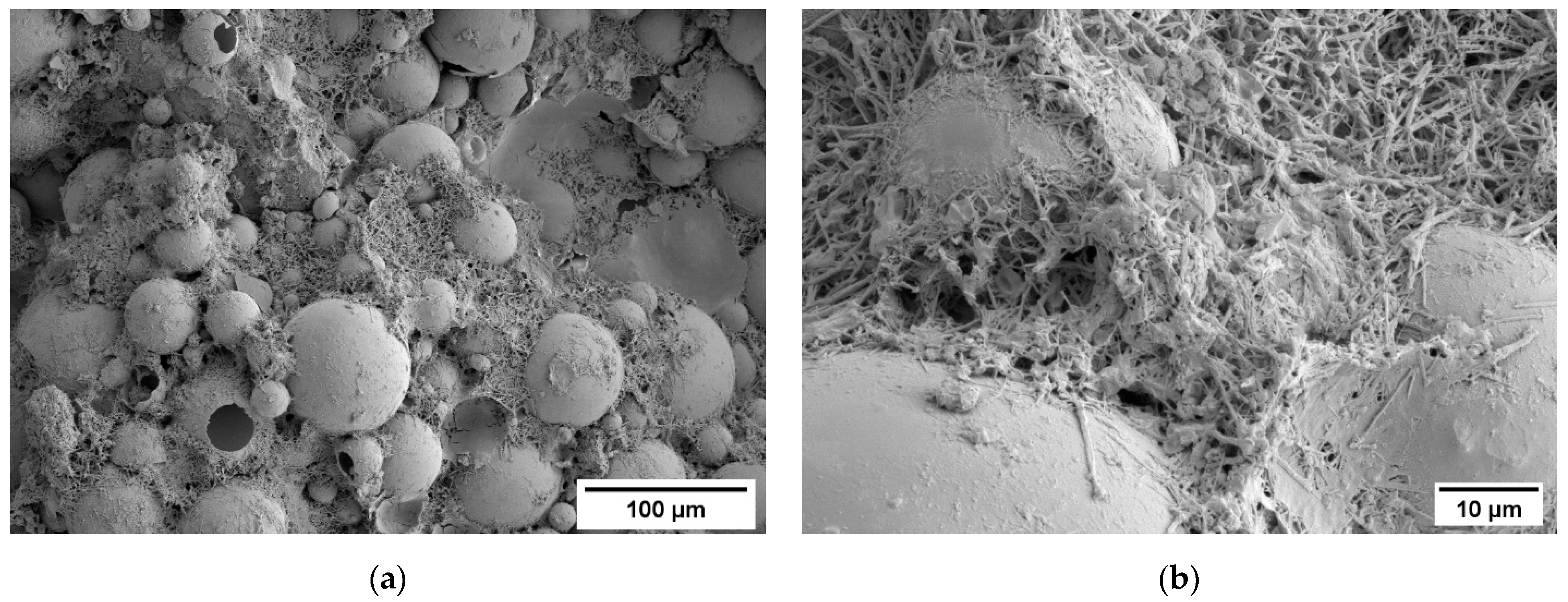 Applsci 12 01152 g005