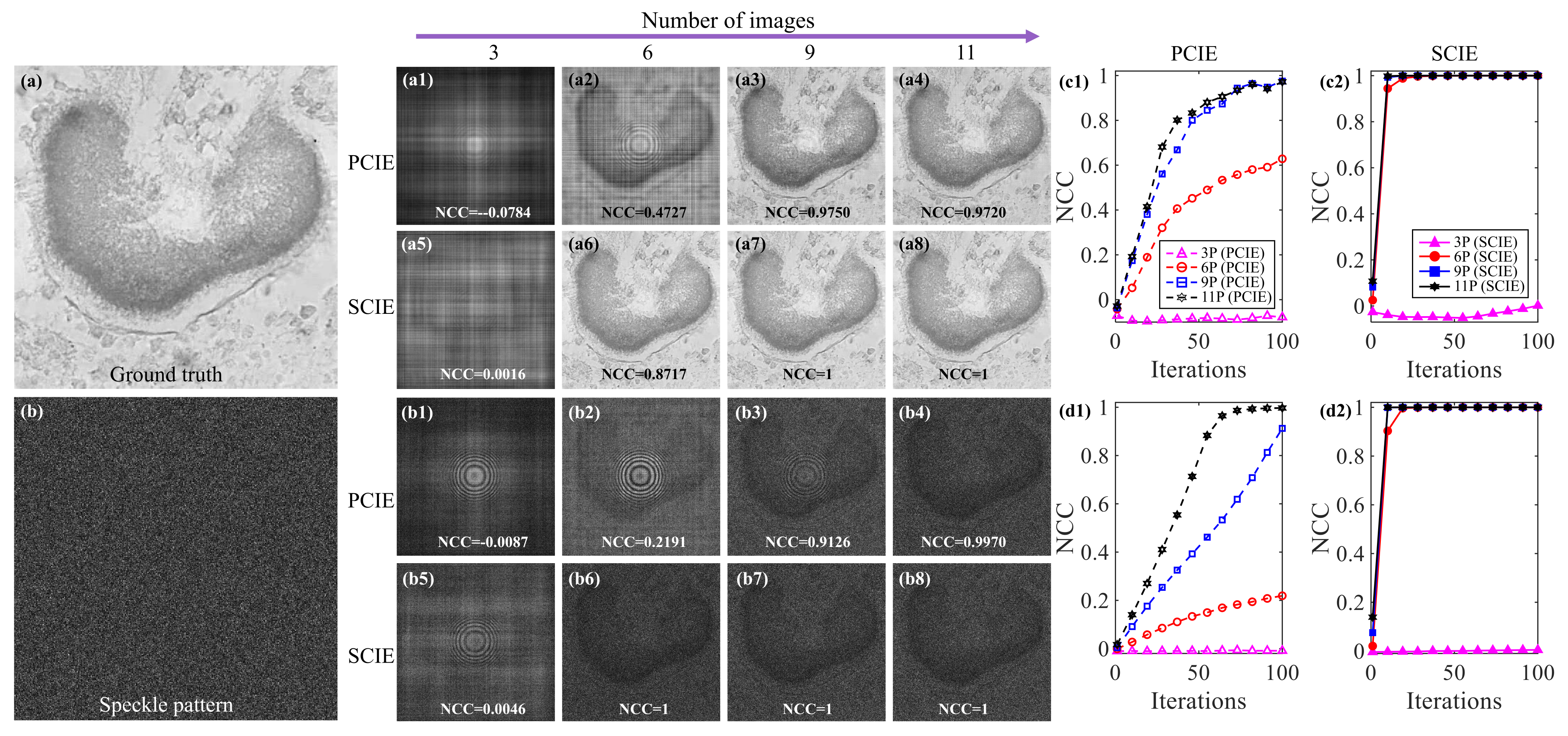 Applsci 12 01378 g006