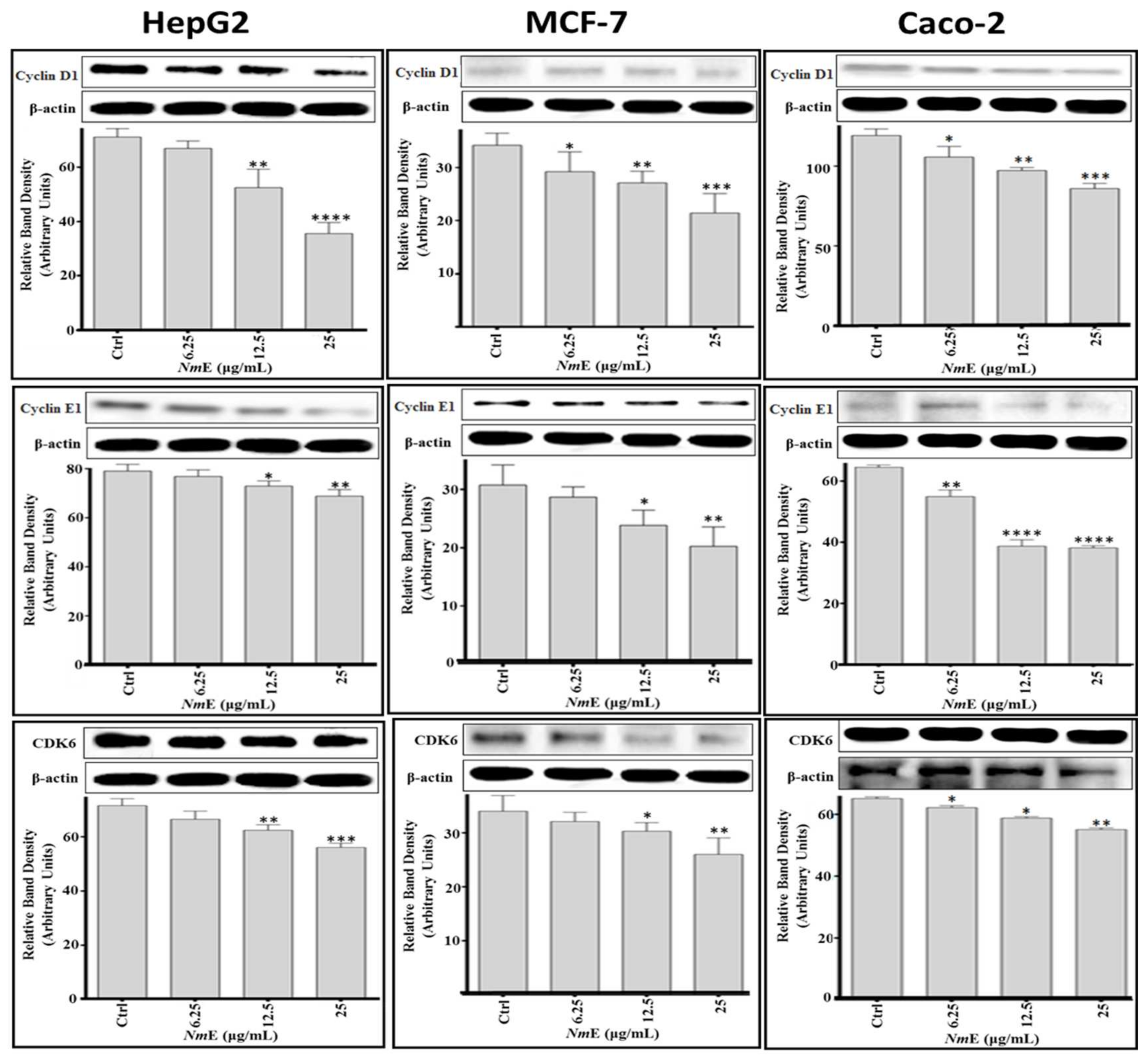 Applsci 12 01400 g011