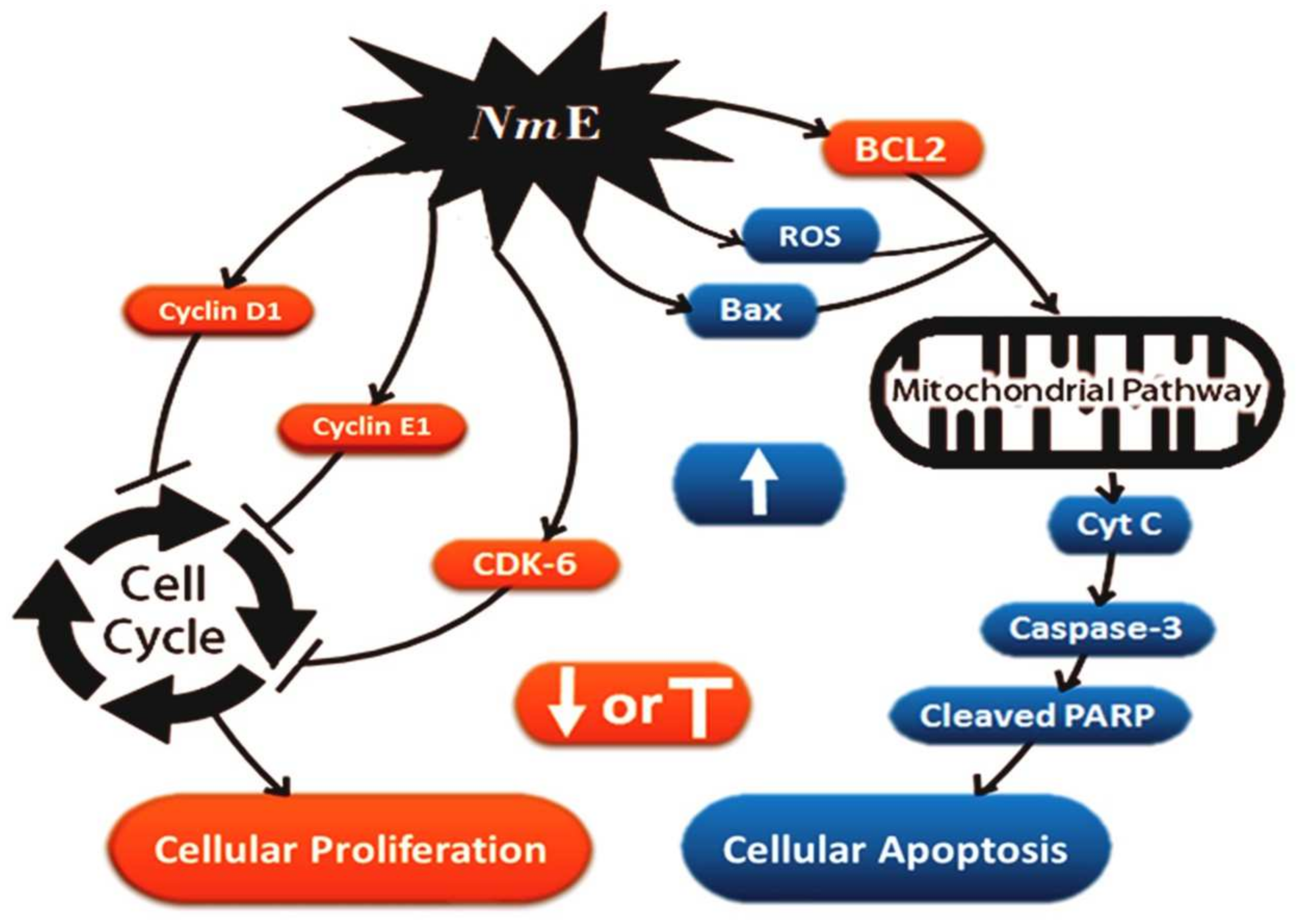 Applsci 12 01400 g013
