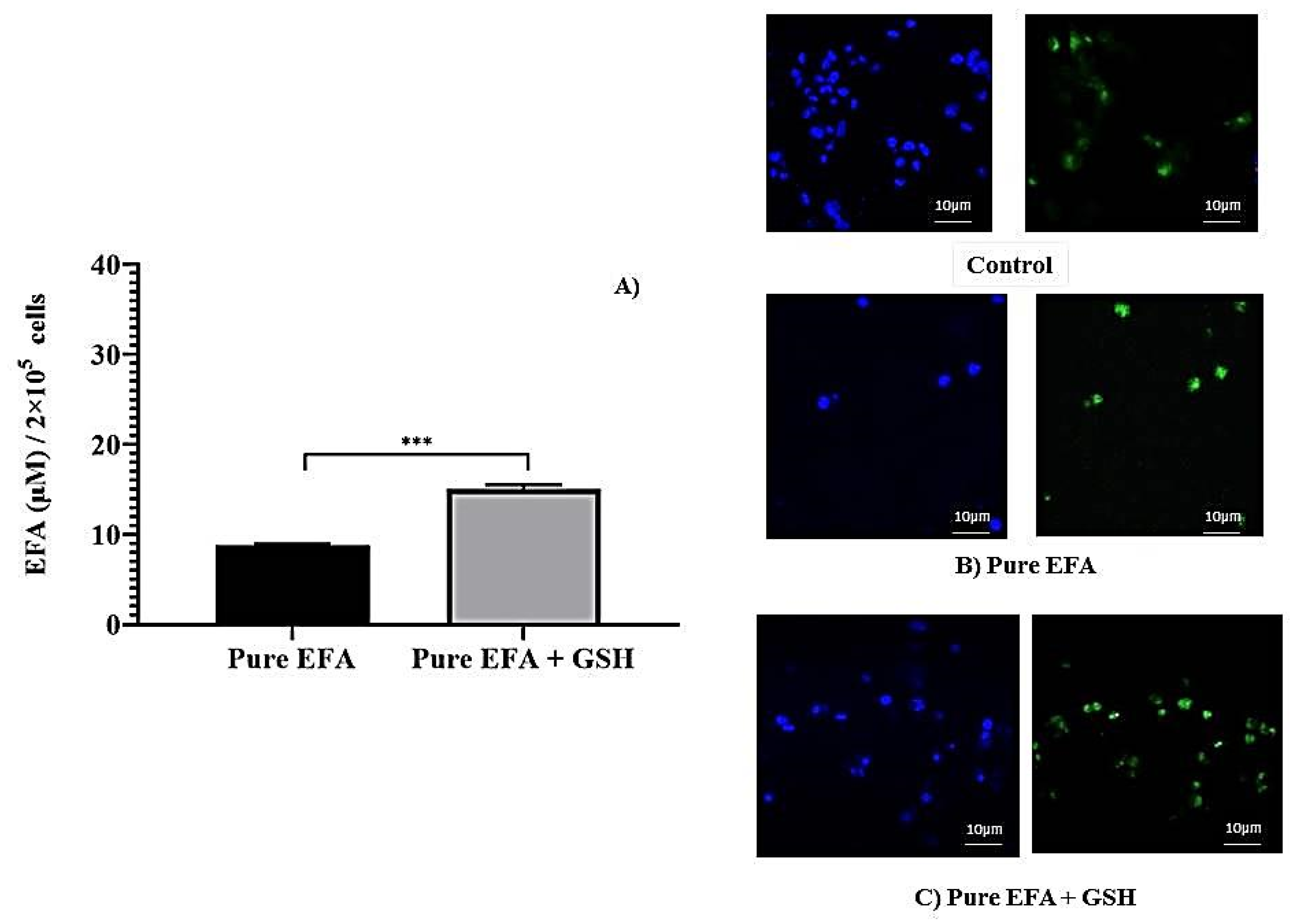 Applsci 12 01468 g001