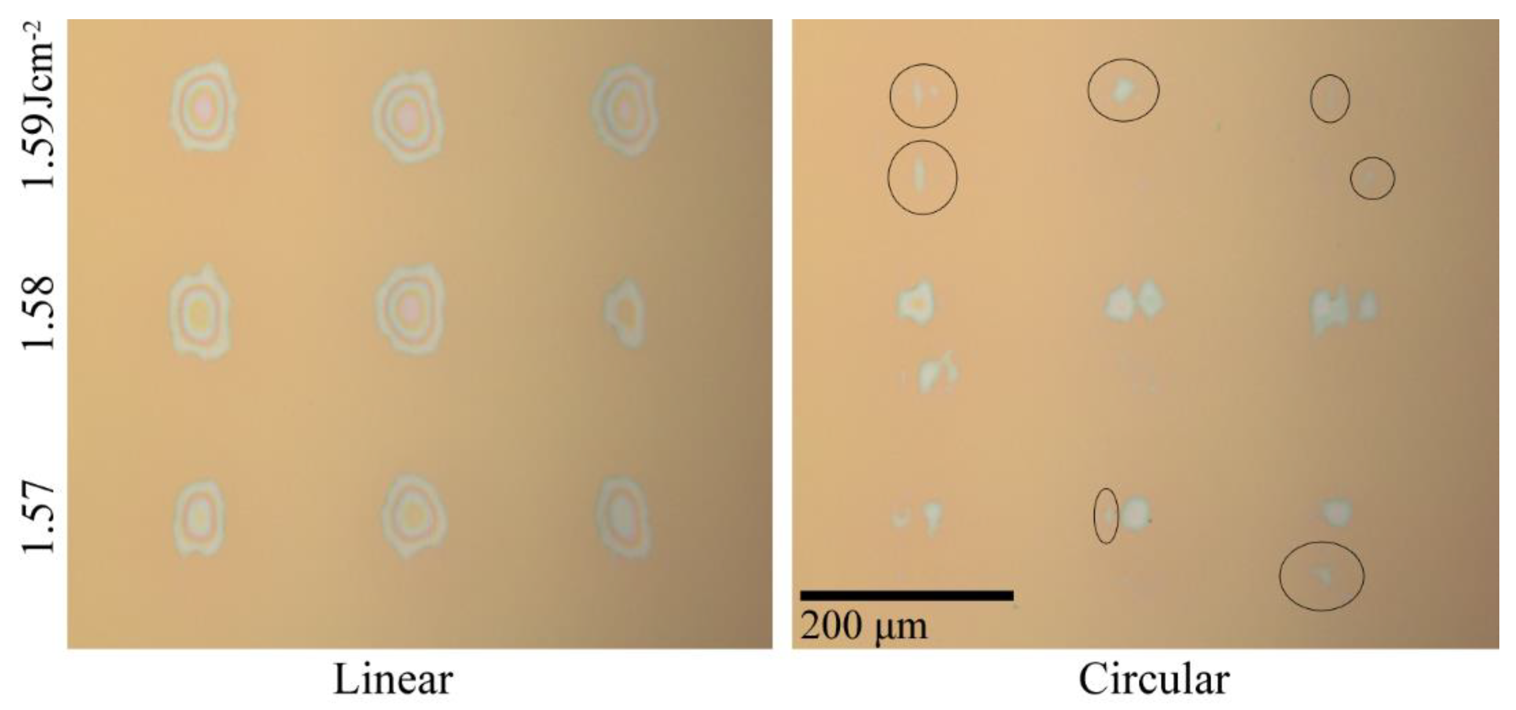 Applsci 12 01494 g006