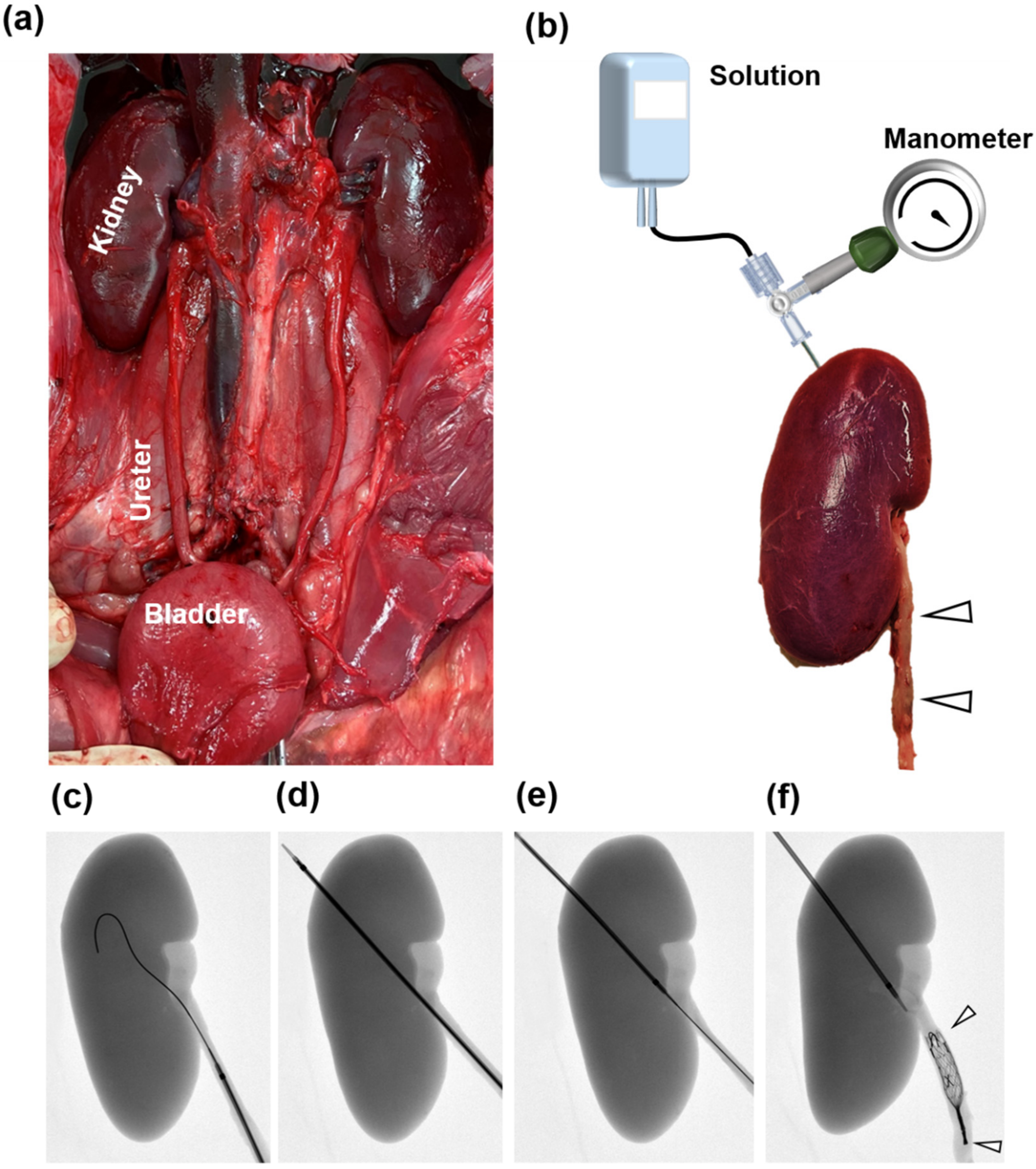 Applsci 12 01516 g002