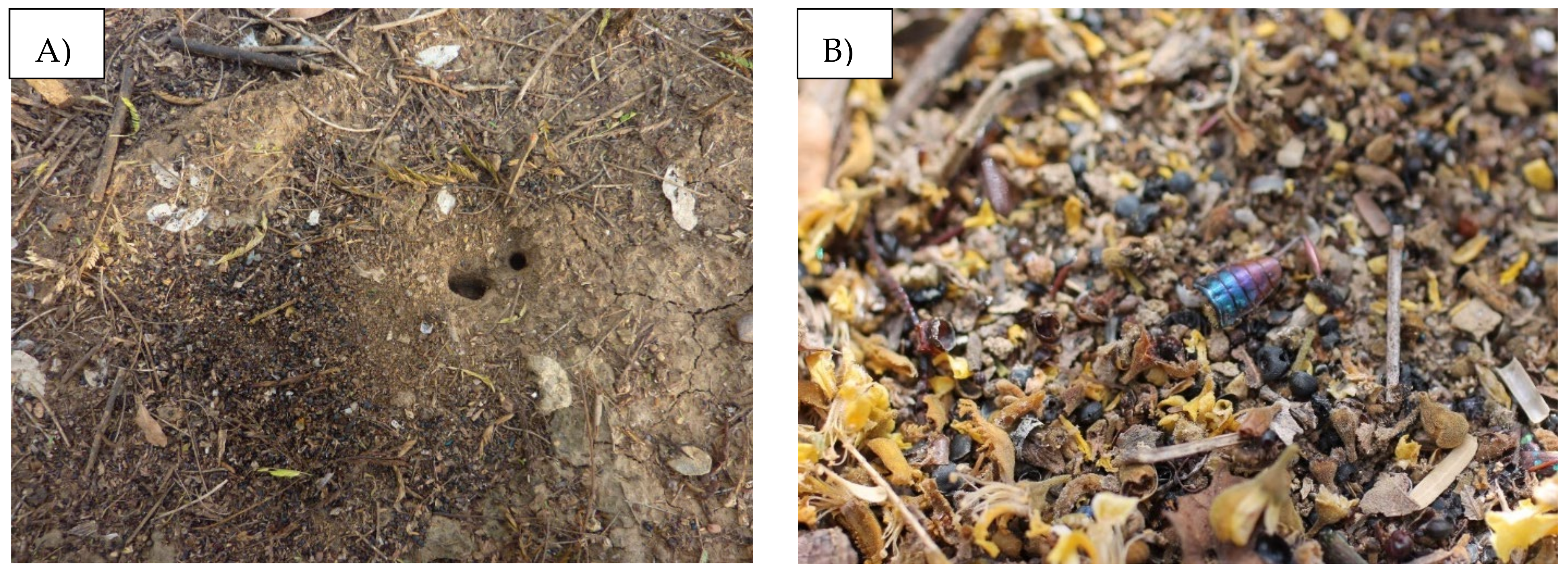 Applsci 12 01573 g001