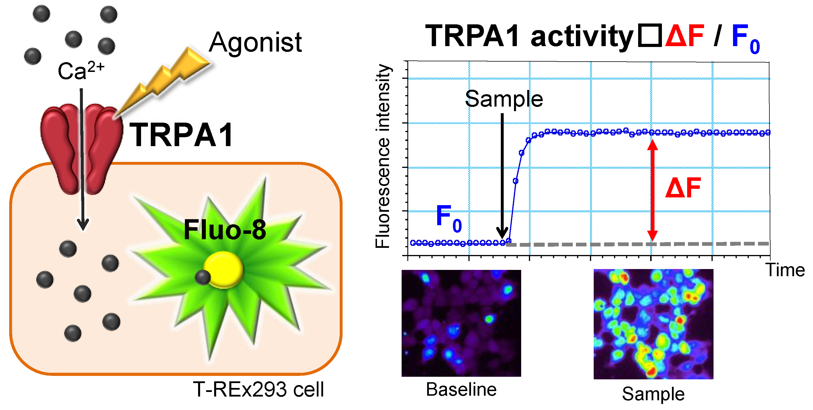 Applsci 12 01622 g001