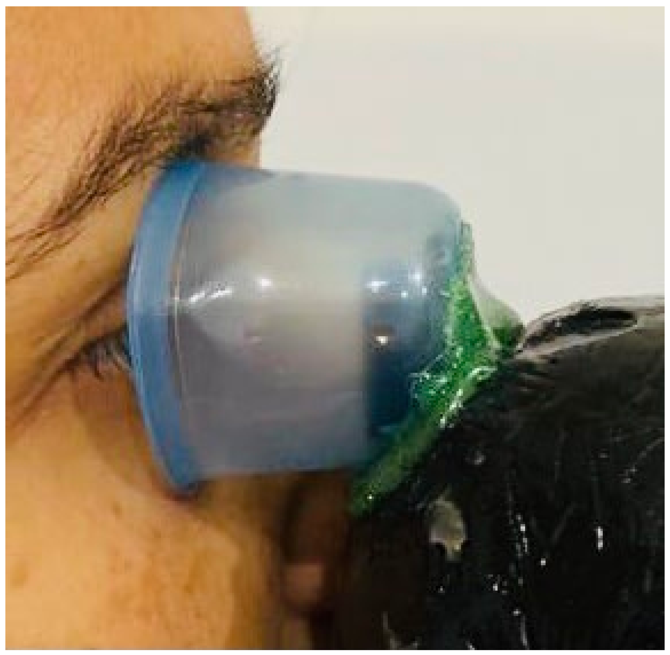 Applsci 12 01647 g002