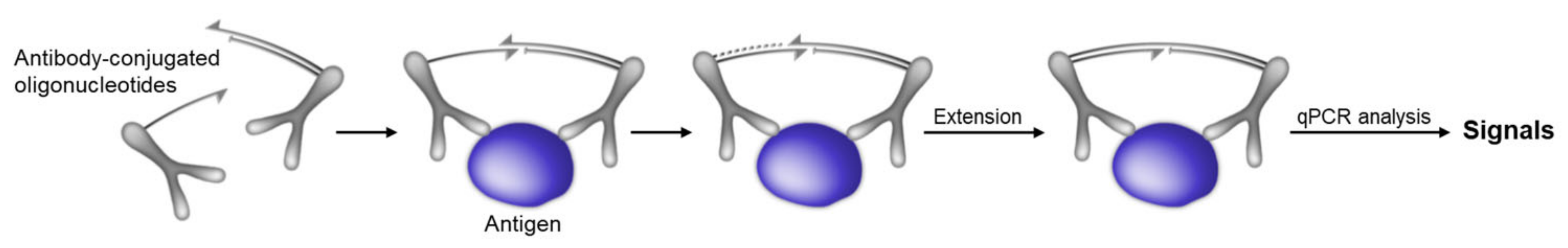 Applsci 12 01717 g003