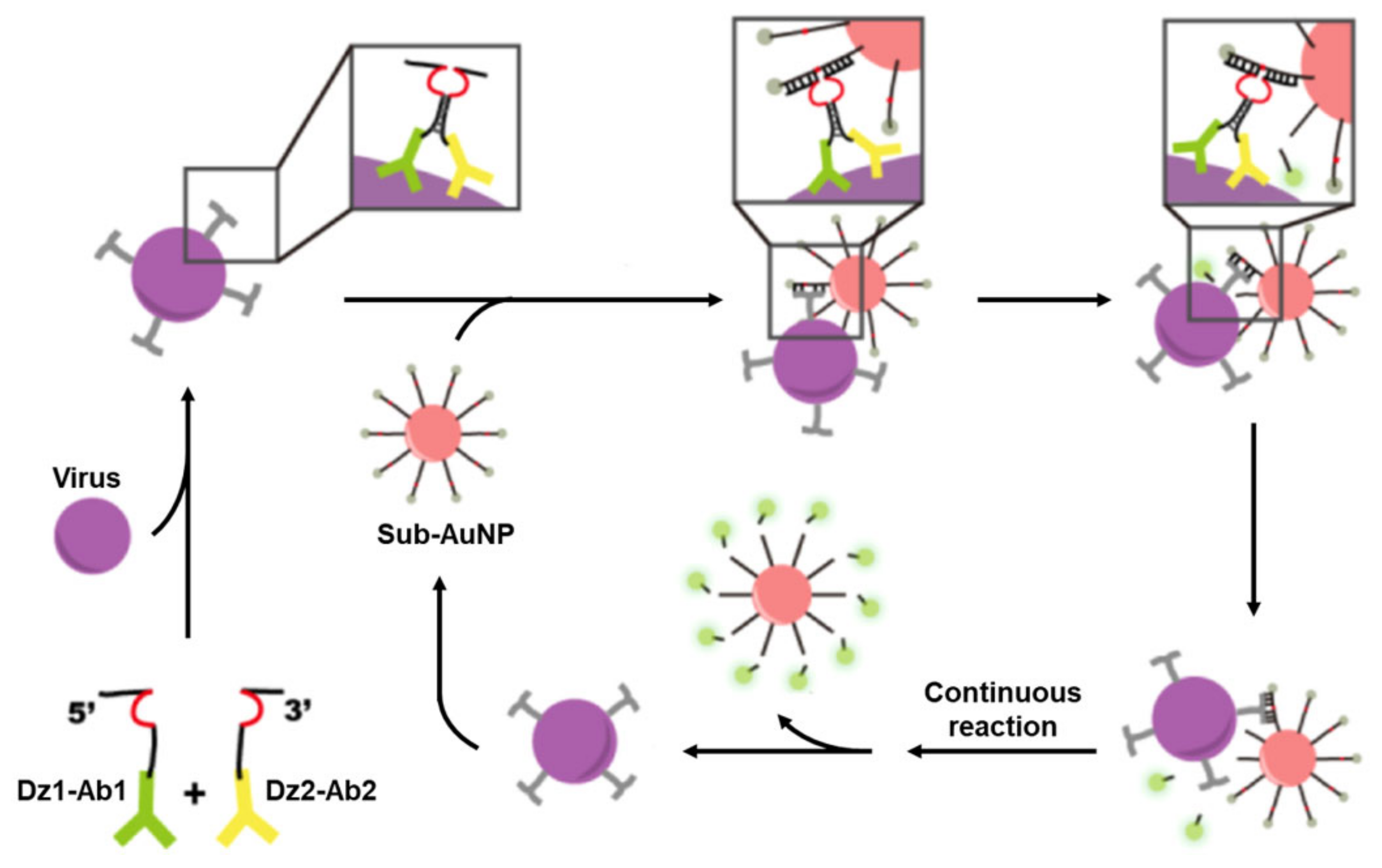 Applsci 12 01717 g005