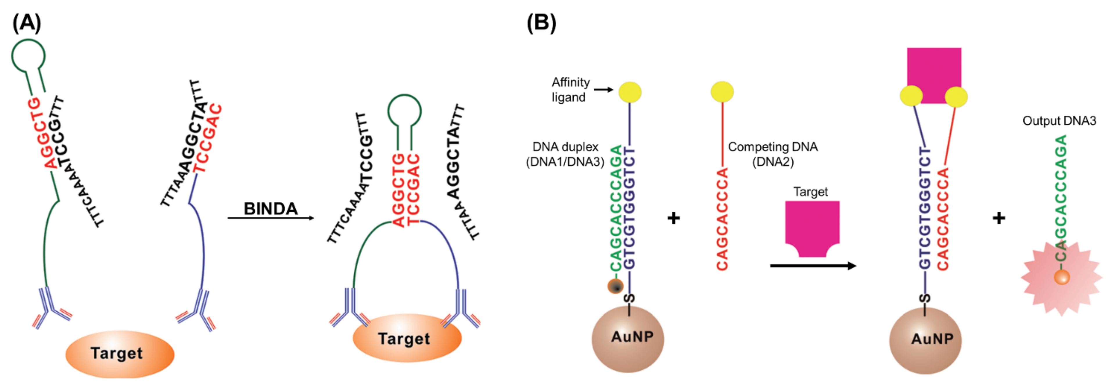 Applsci 12 01717 g007