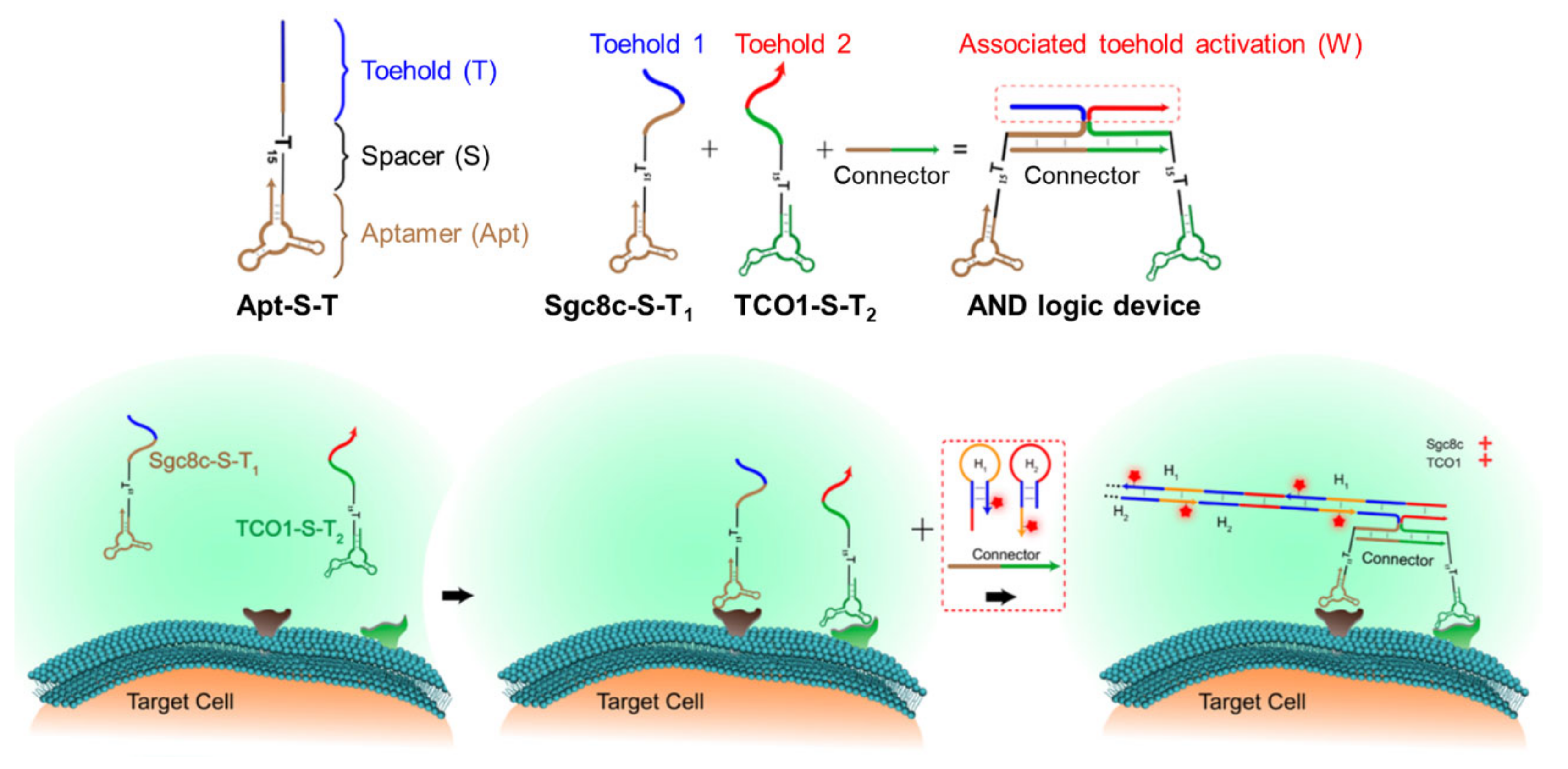 Applsci 12 01717 g010