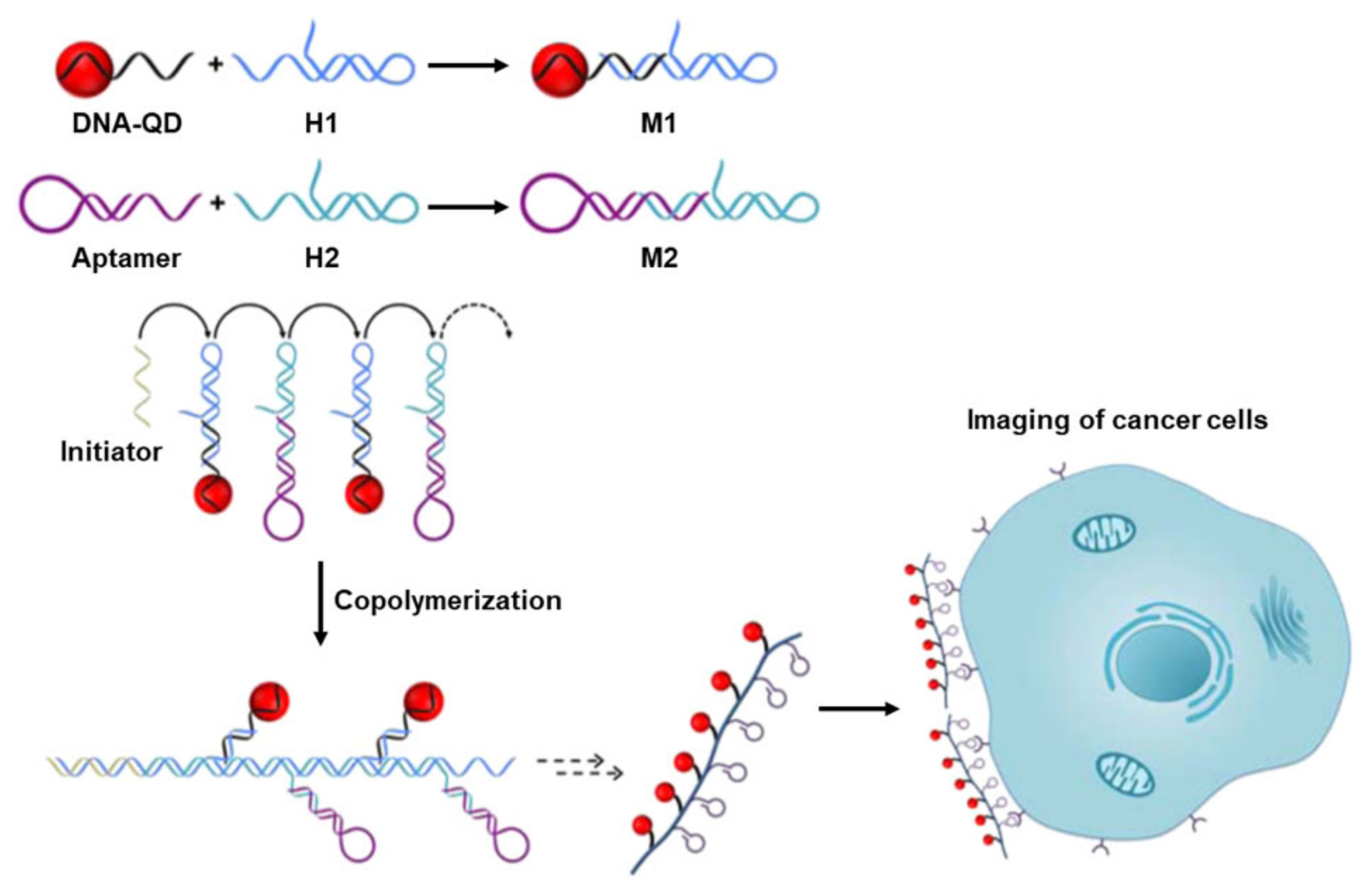 Applsci 12 01717 g013