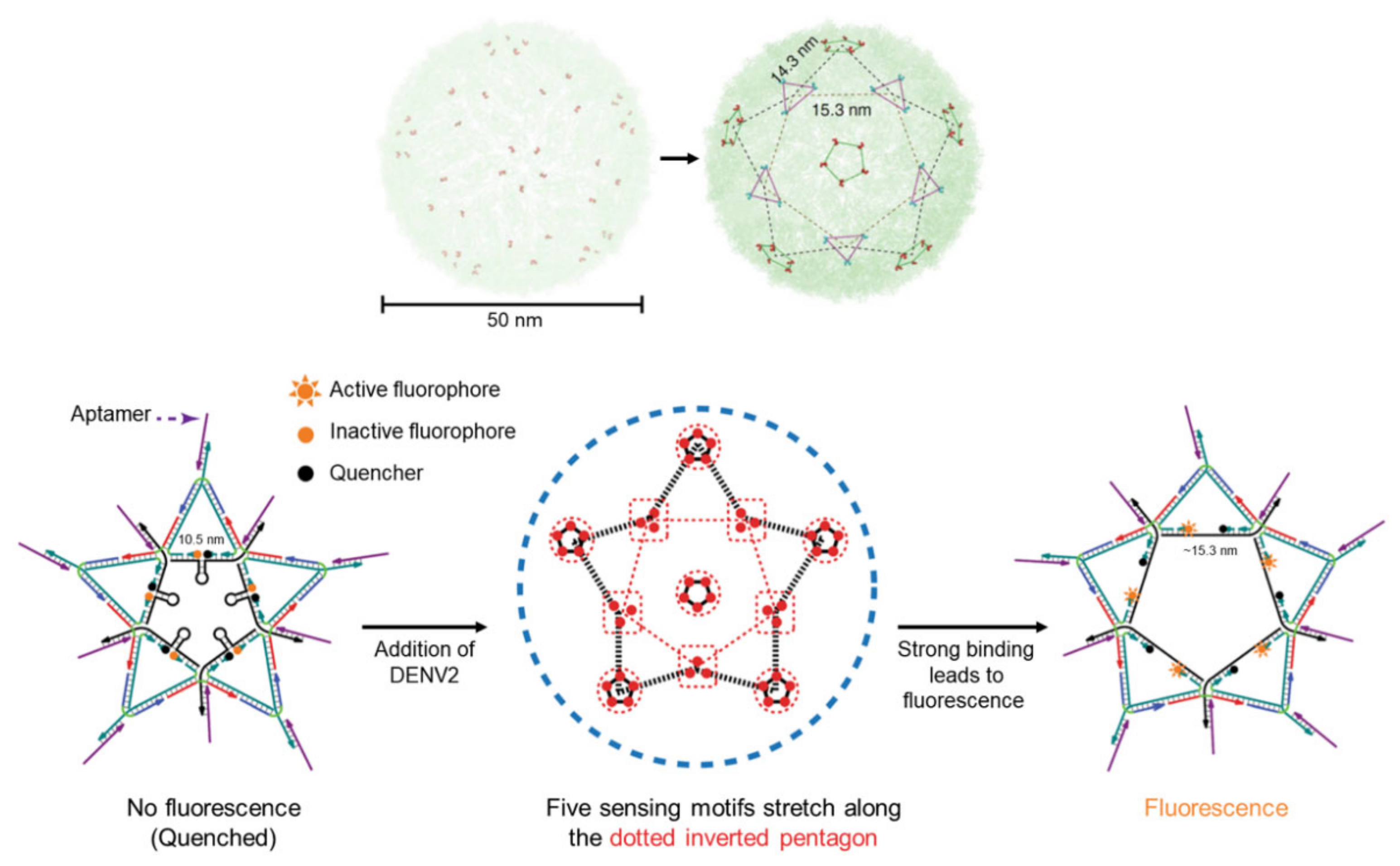 Applsci 12 01717 g017