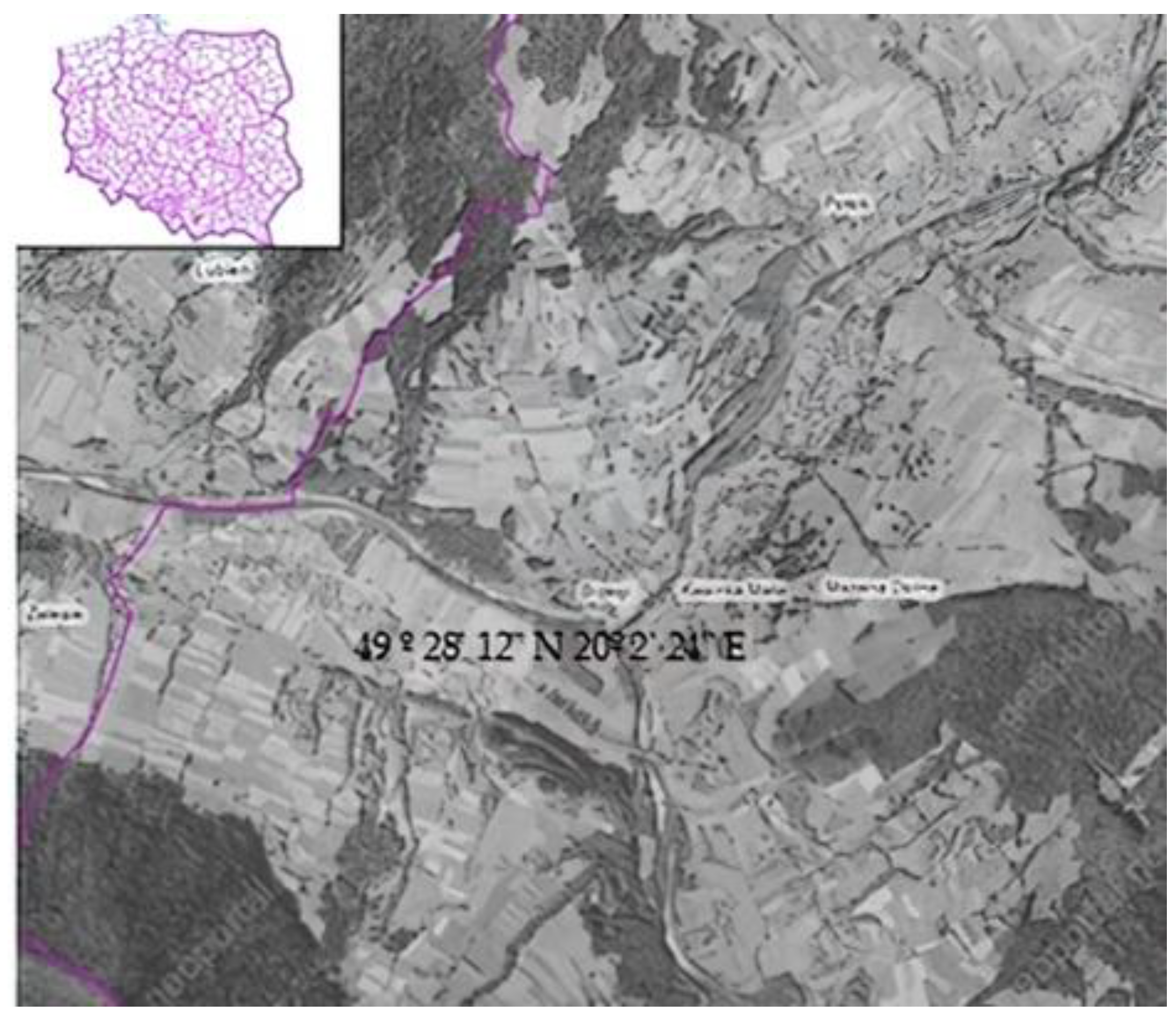 Applsci 12 01948 g001