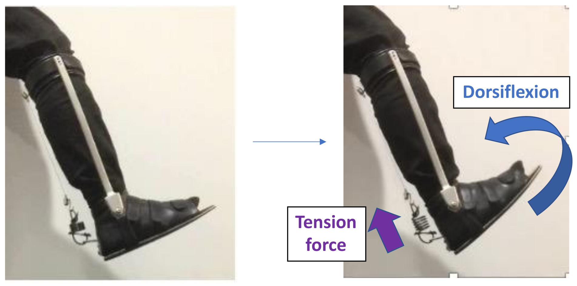 Applsci 12 02248 g005 Applsci 12 02248 g005