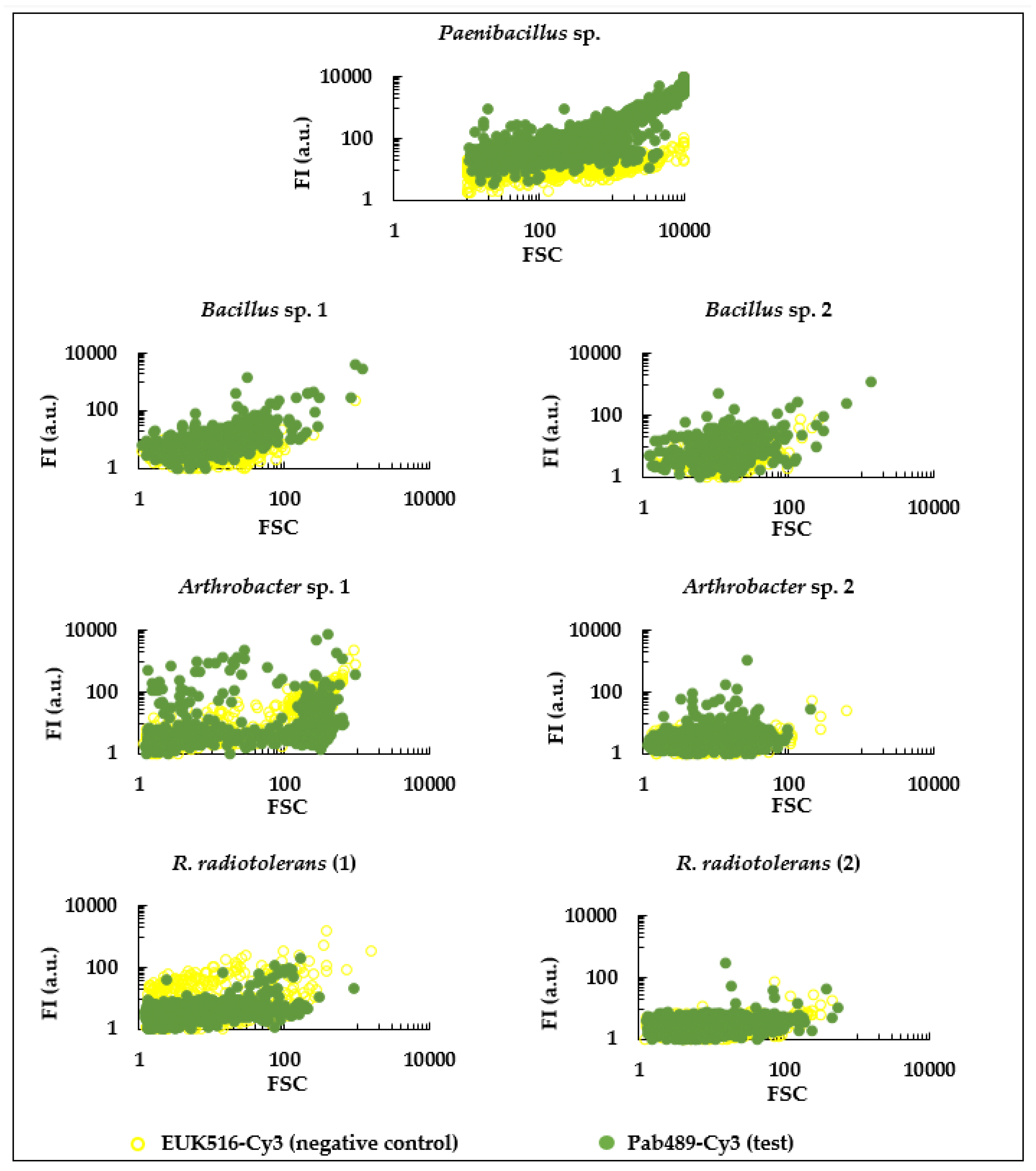 Applsci 12 02348 g004