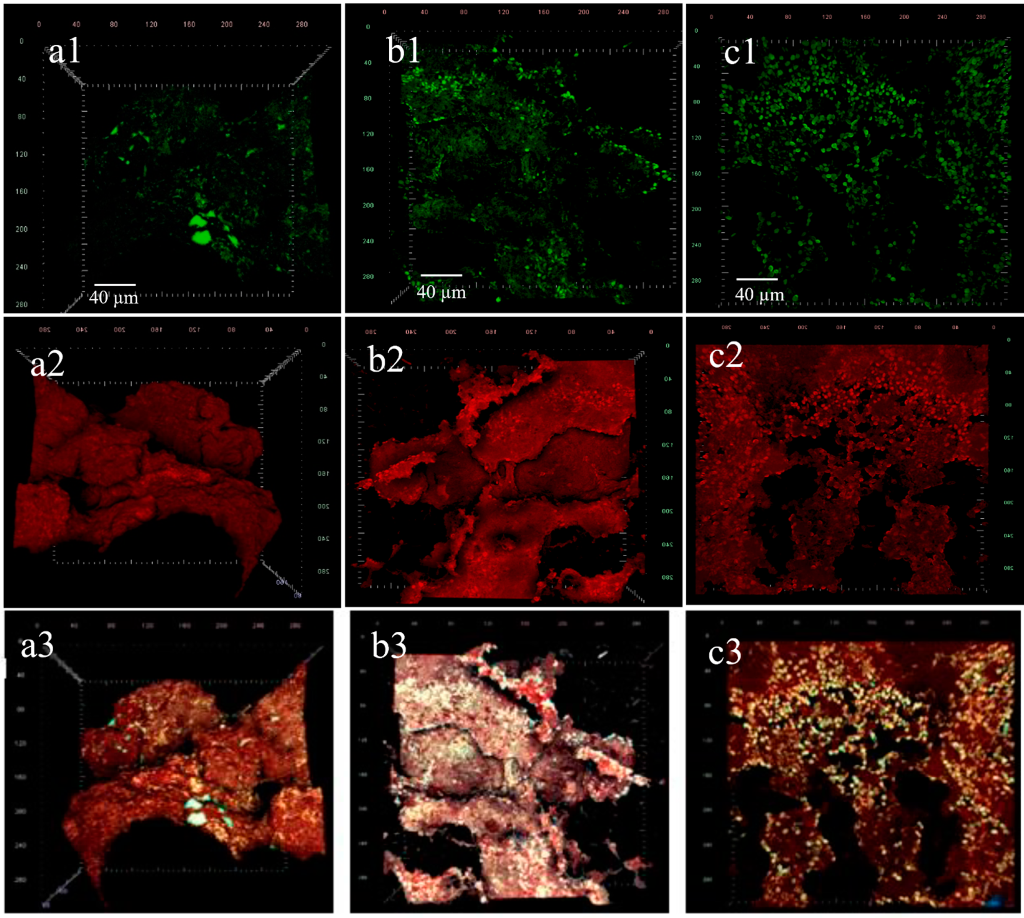 Applsci 12 02459 g006 Applsci 12 02459 g006