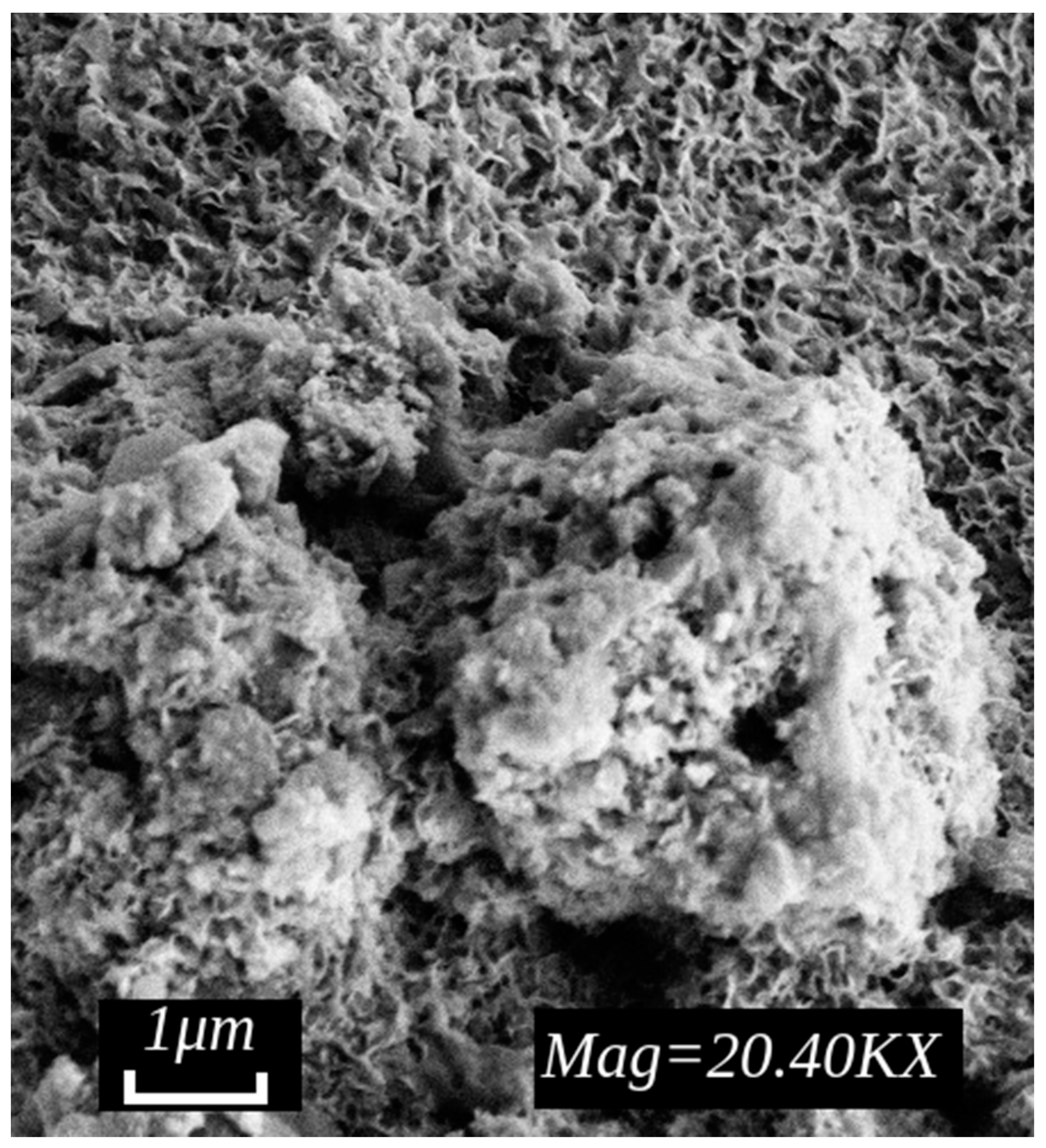 Applsci 12 02518 g005