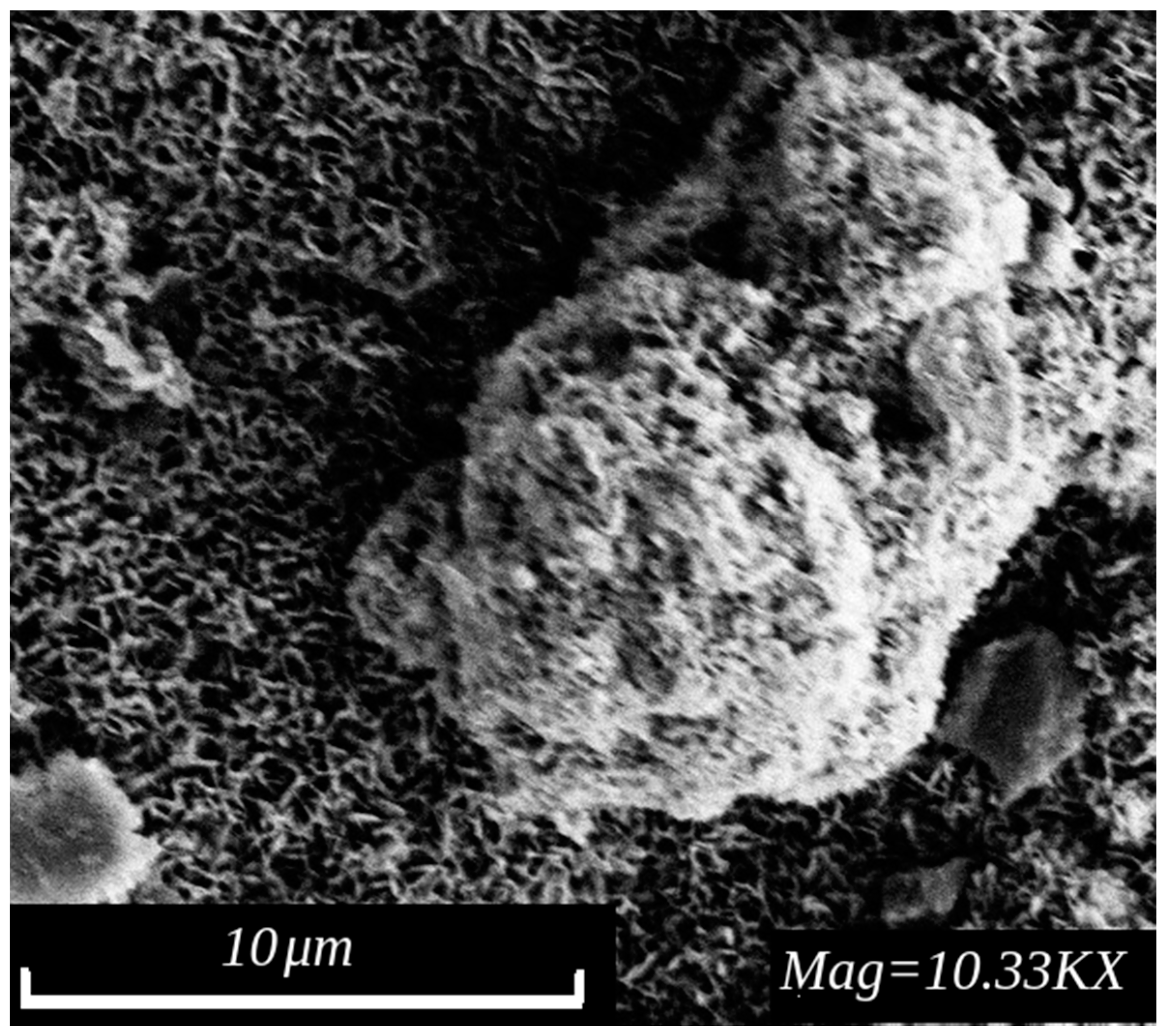 Applsci 12 02518 g006