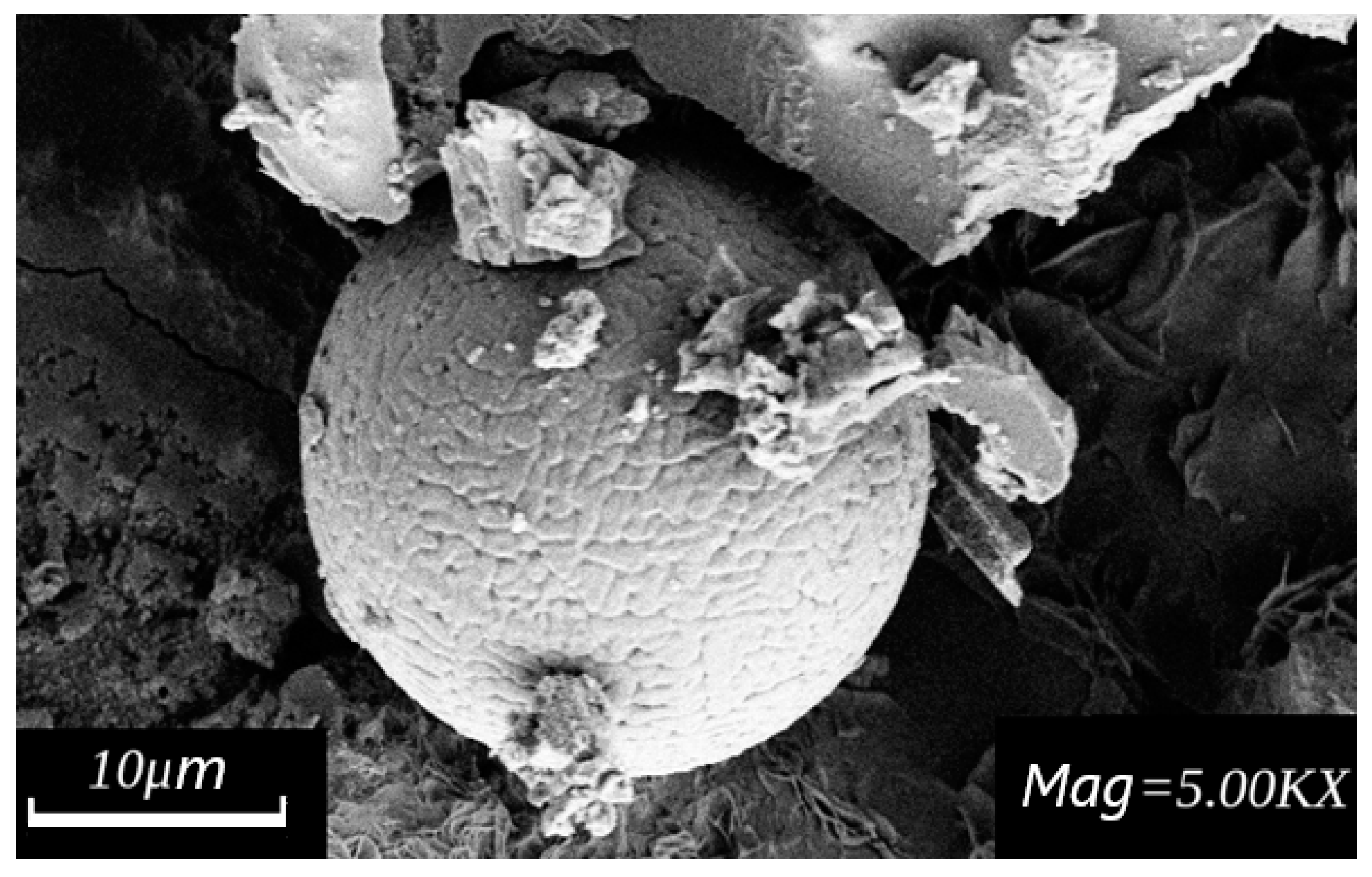 Applsci 12 02518 g007