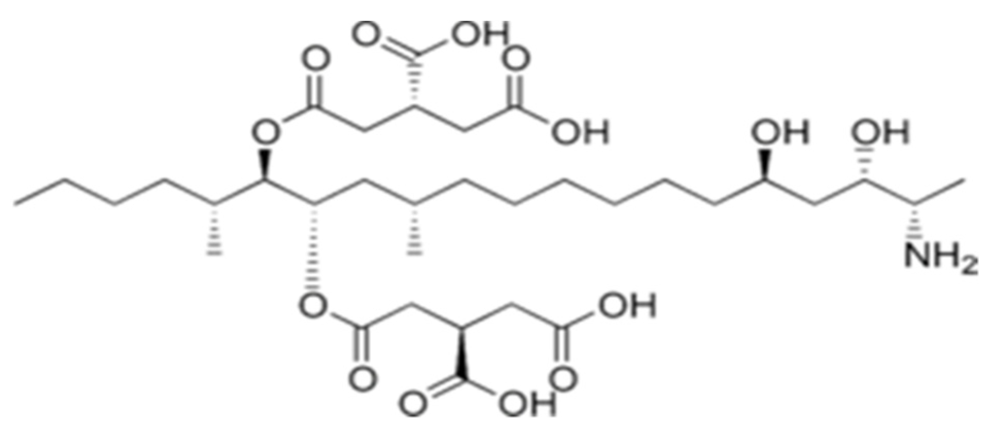 Applsci 12 02579 g008