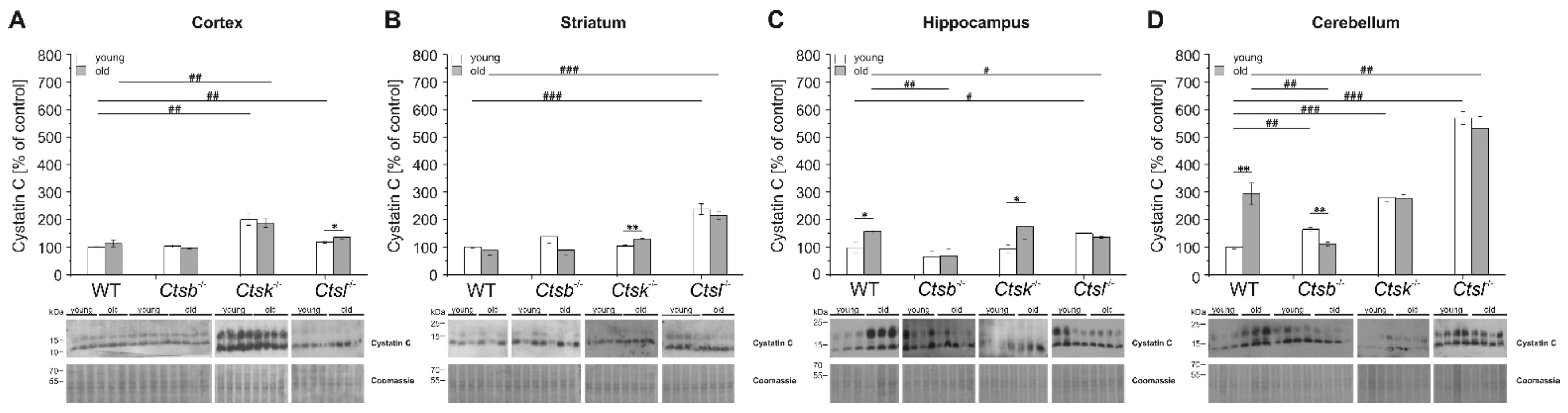 Applsci 12 02608 g007