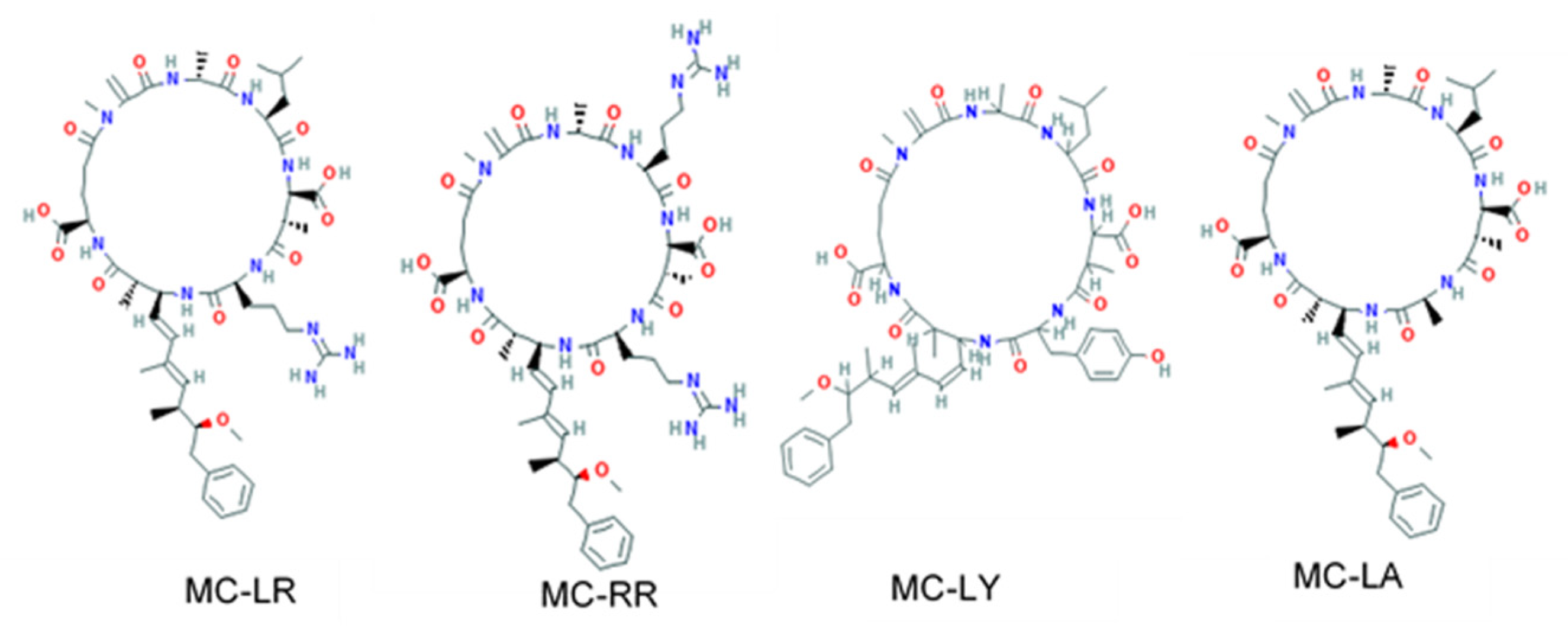 Applied Sciences Free Full Text Identification Of Novel Molecular Targets Of Four