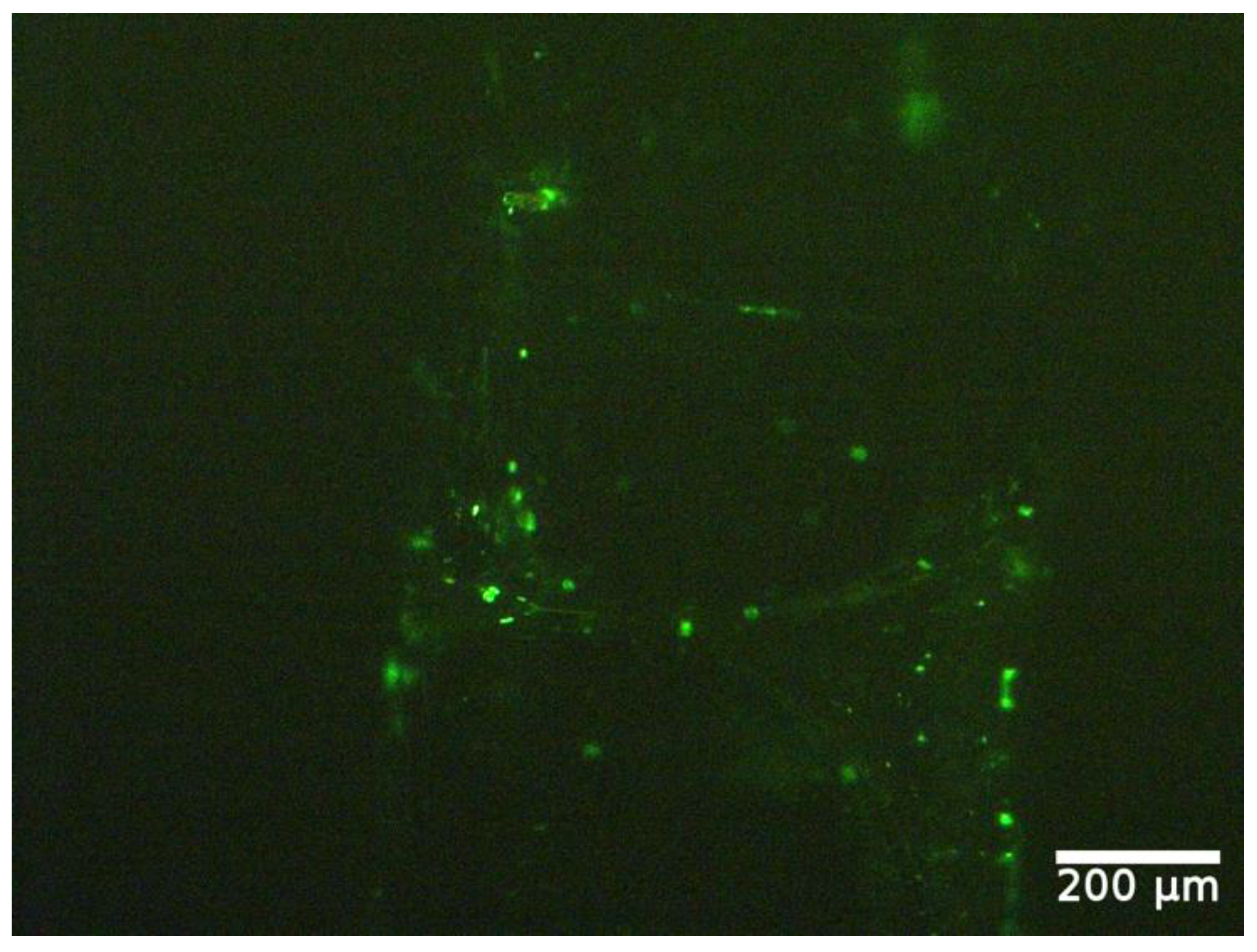 Applsci 12 02617 g011