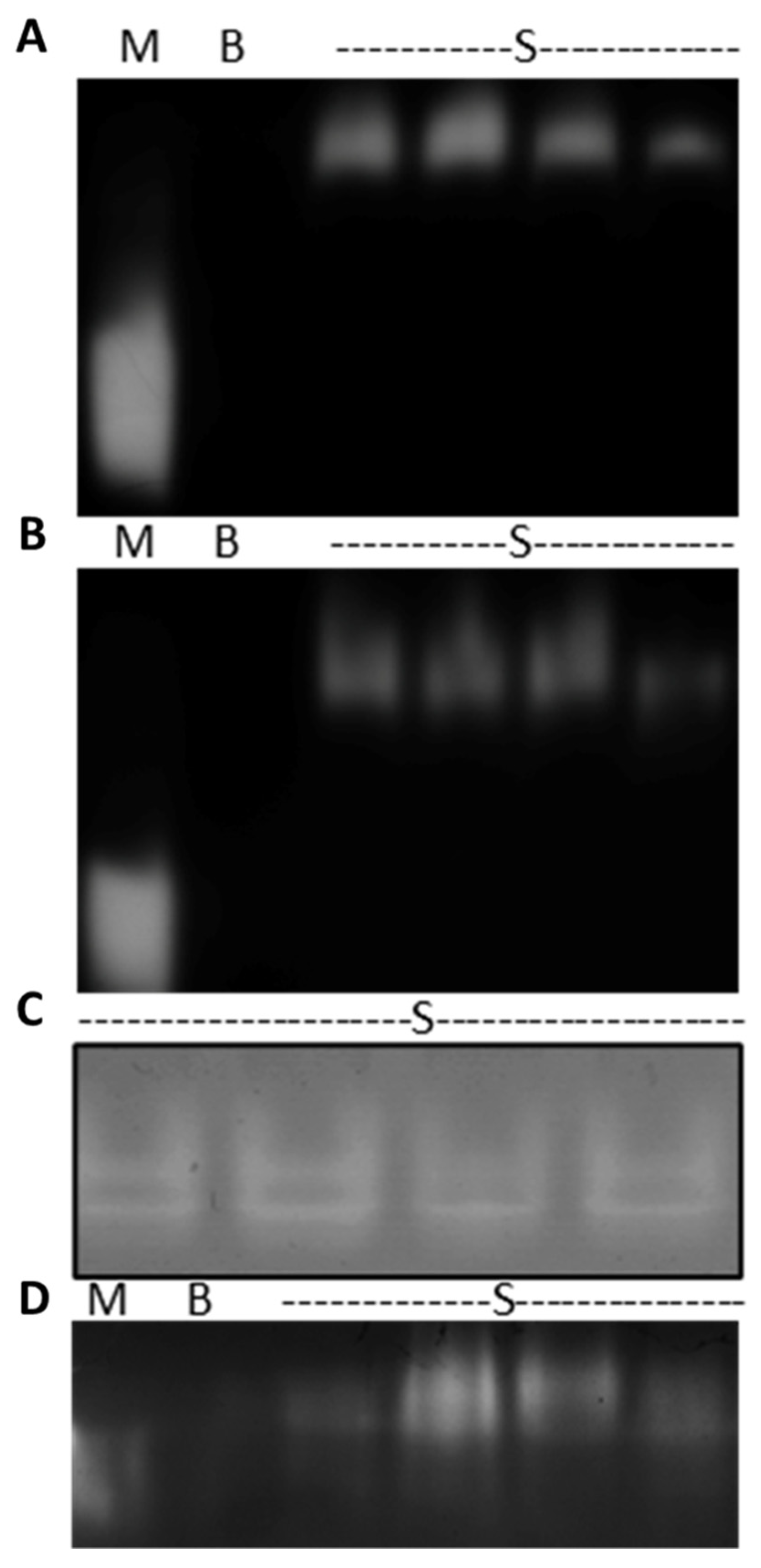 Applsci 12 02760 g001