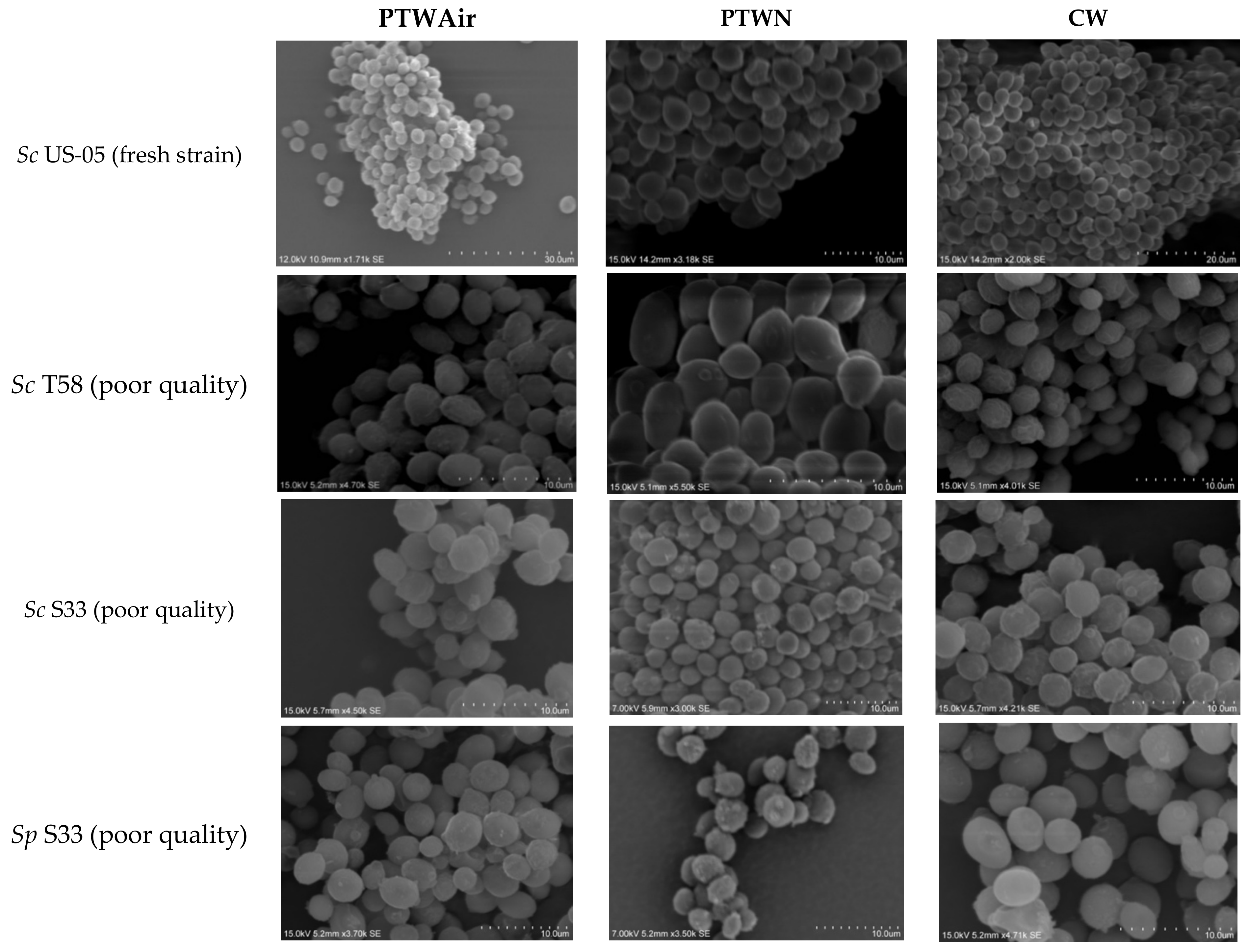 Applsci 12 02909 g002 Applsci 12 02909 g002