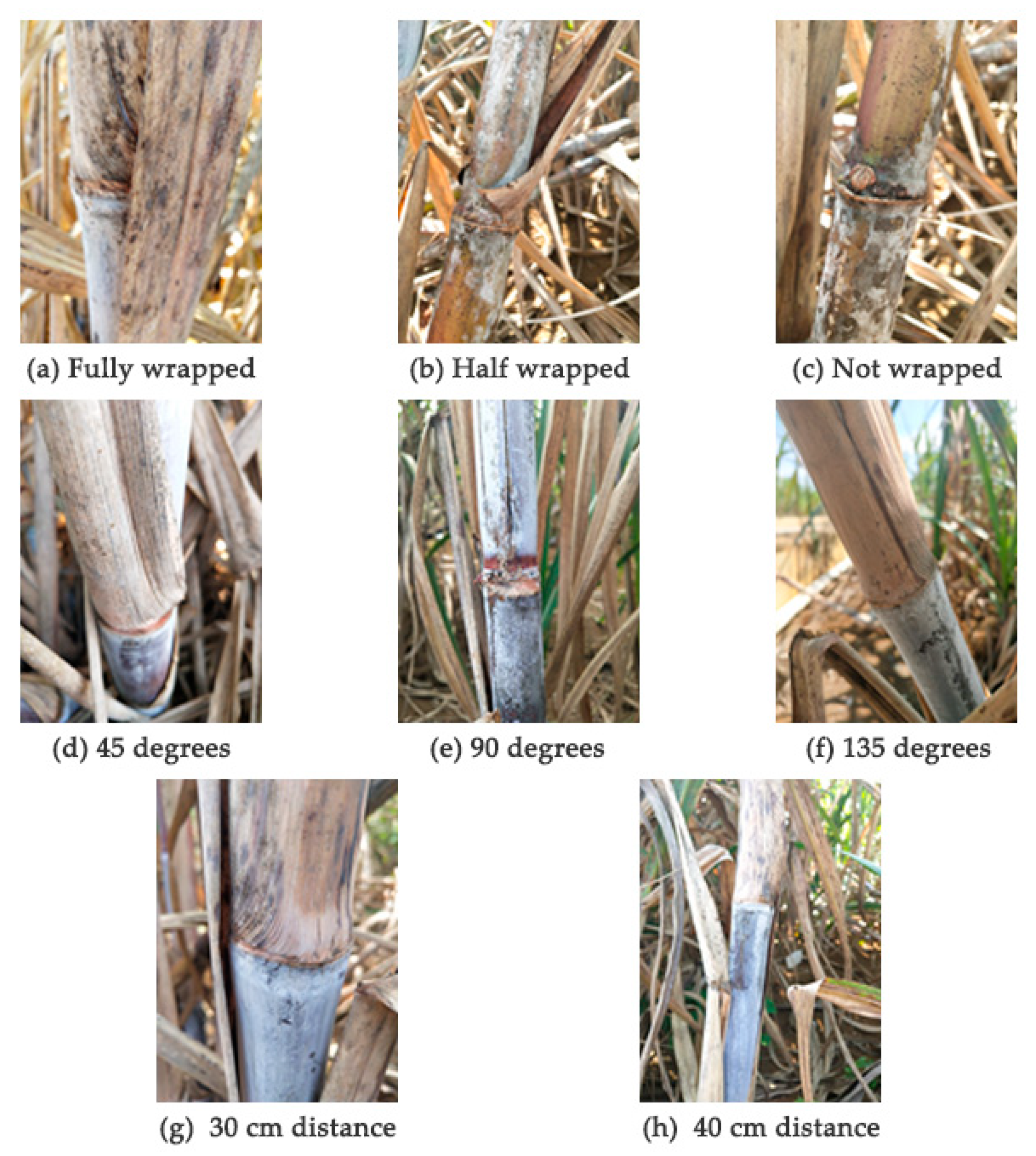 Applsci 12 03088 g007